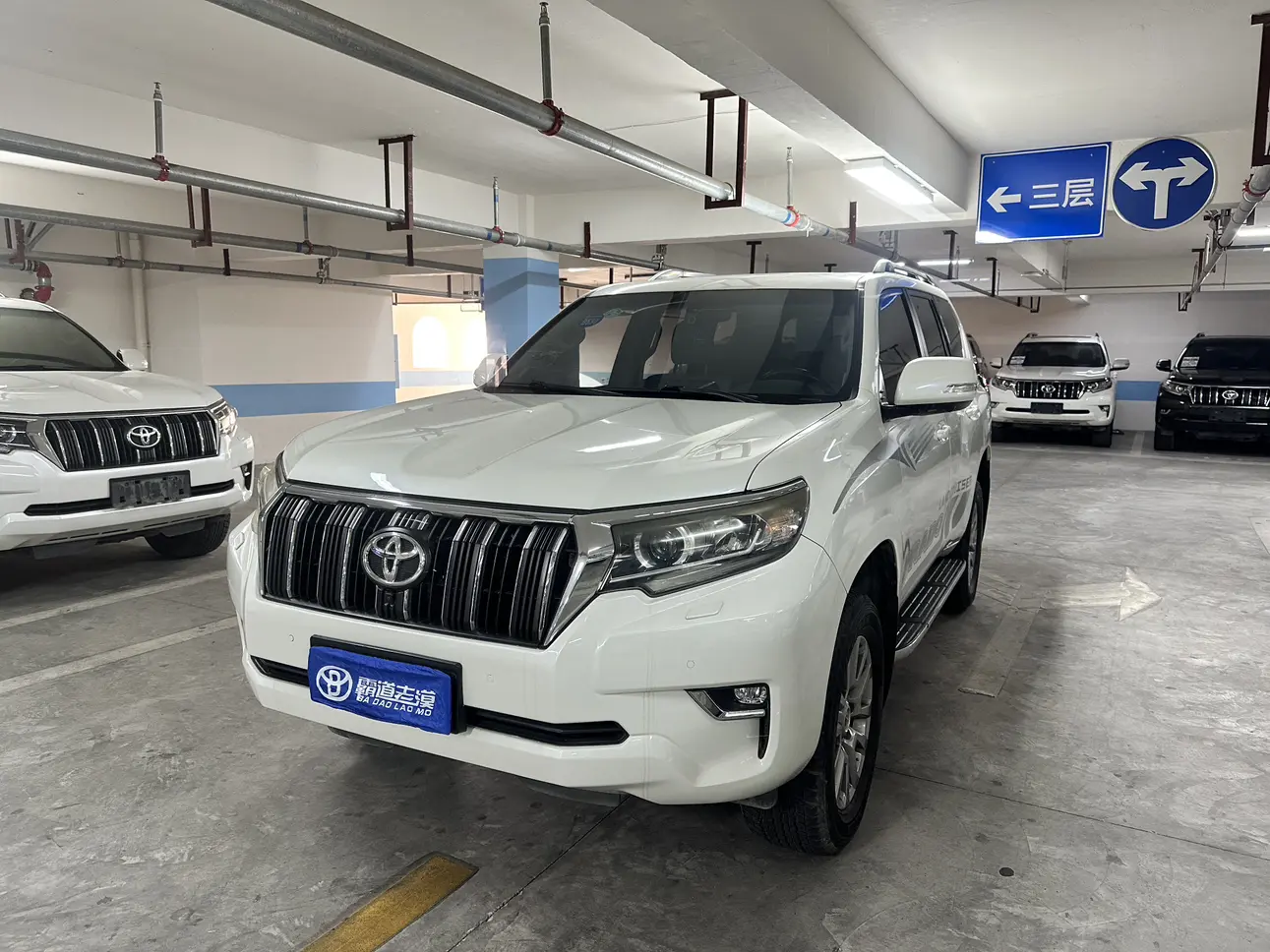 Toyota Prado