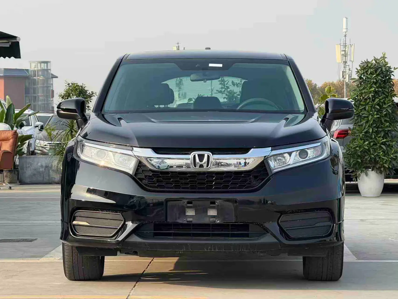 Honda Avancier (Crown Road)  из Китая