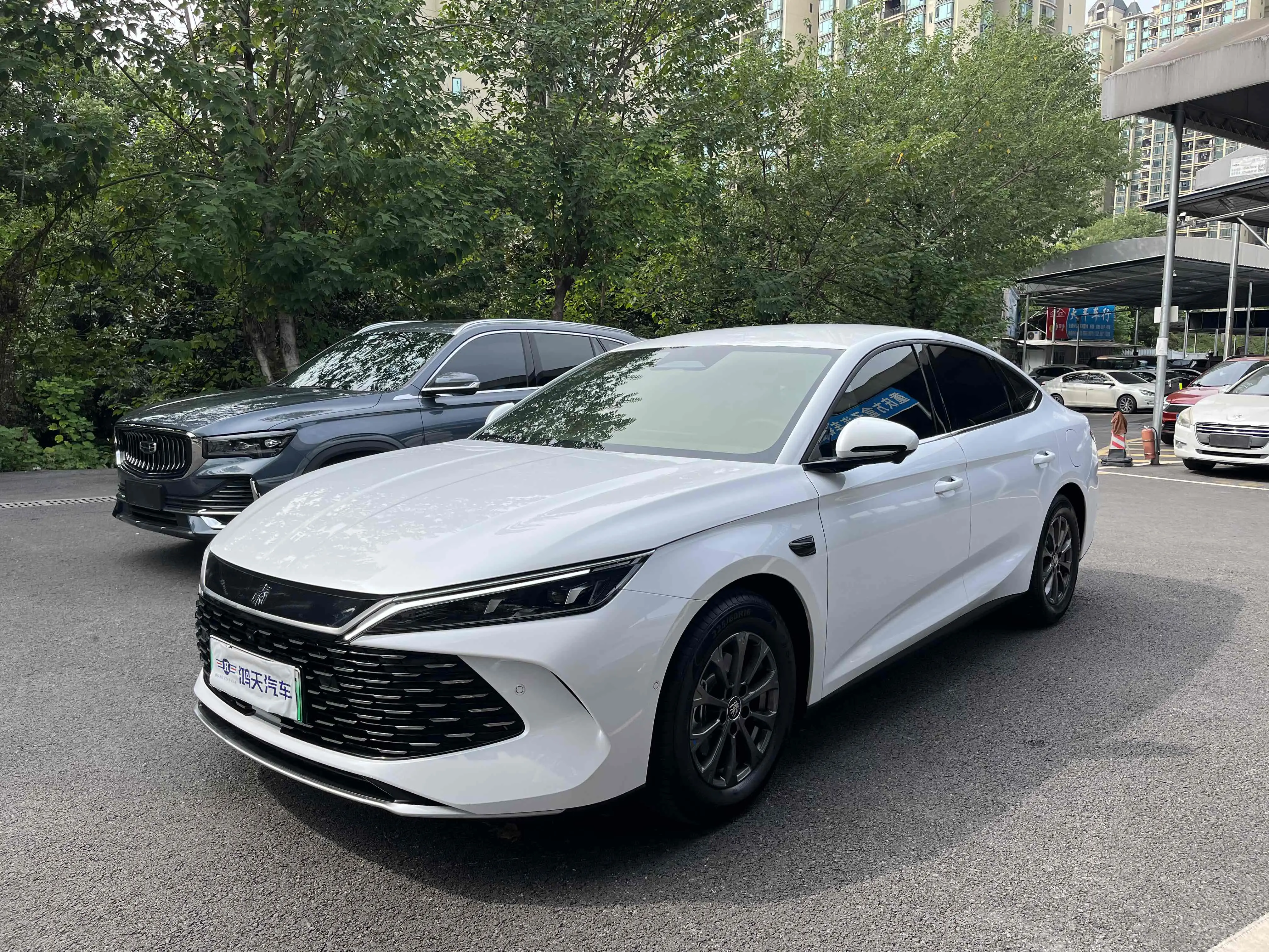 BYD Qin L DM  из Китая