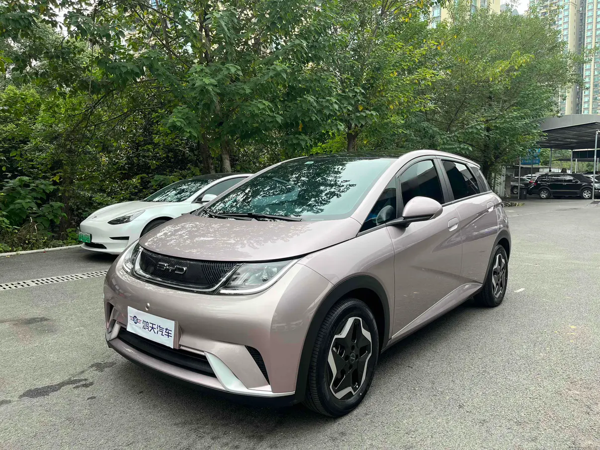 BYD Dolphin  из Китая