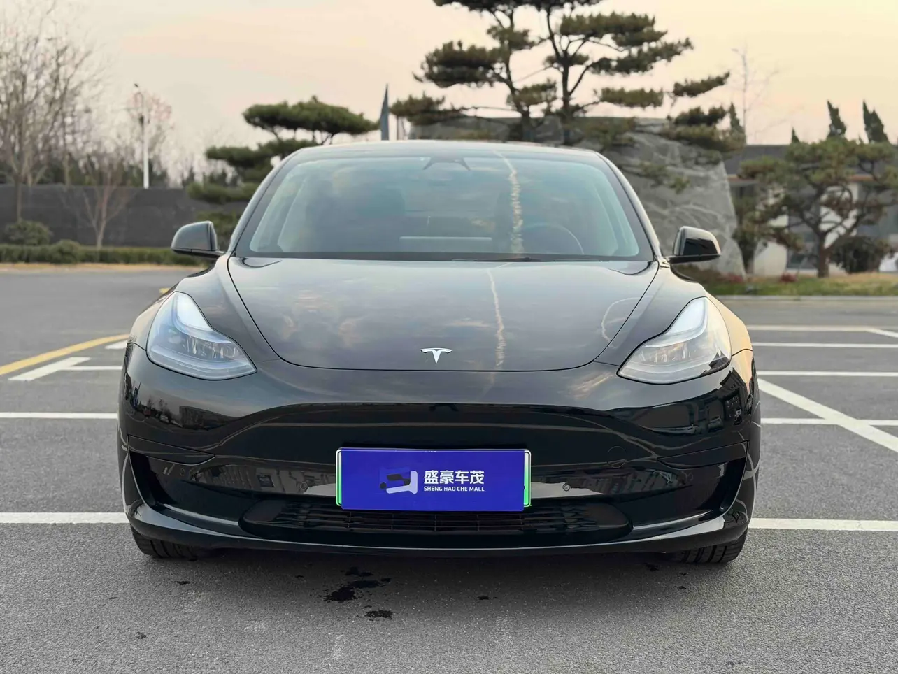Tesla Model 3  из Китая