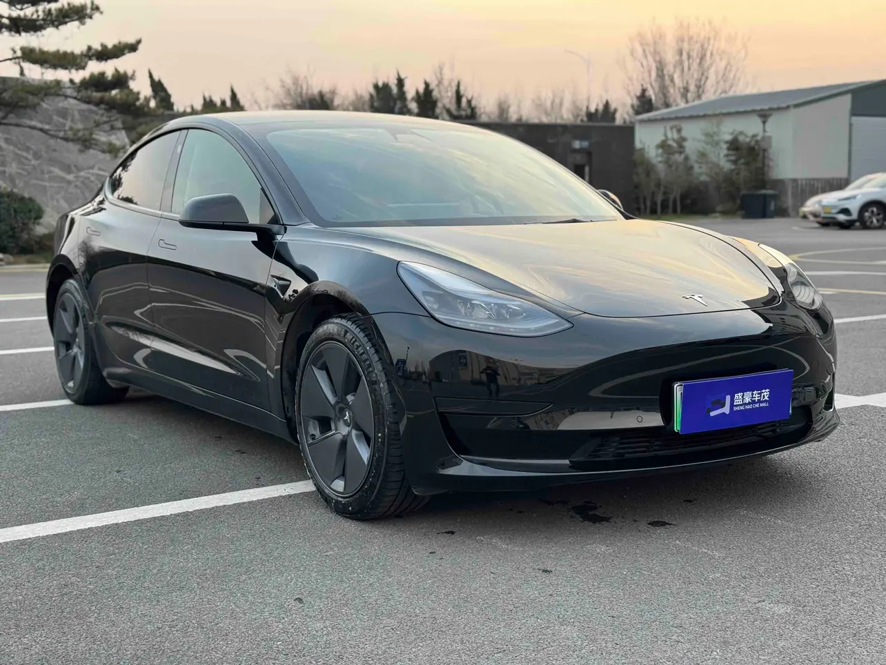 Tesla Model 3  из Китая