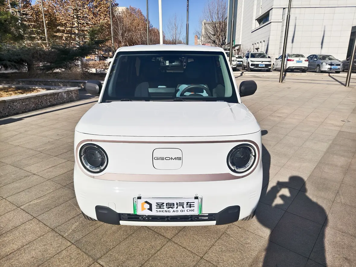 Geely Panda  из Китая