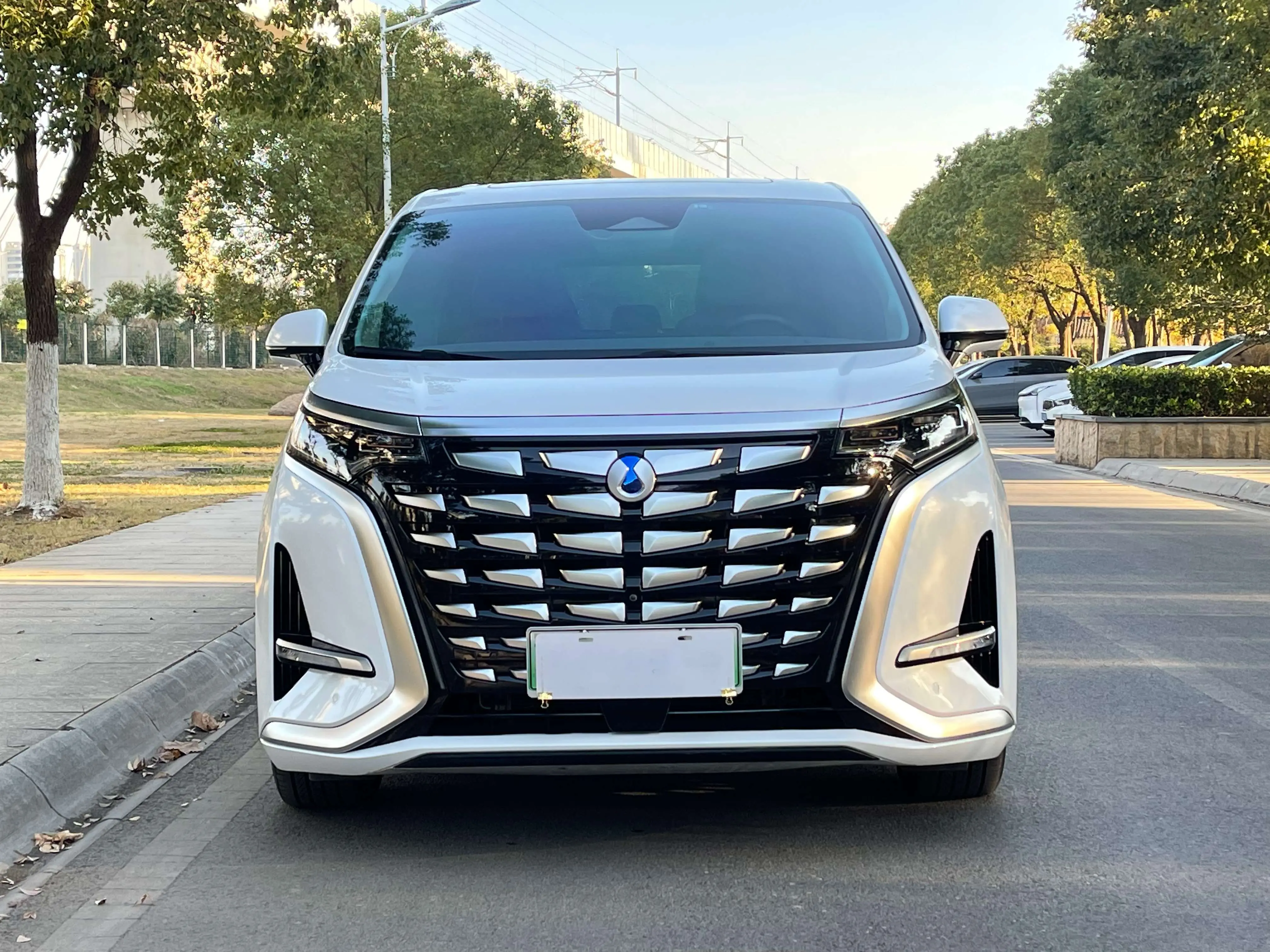 Denza D9 DM  из Китая