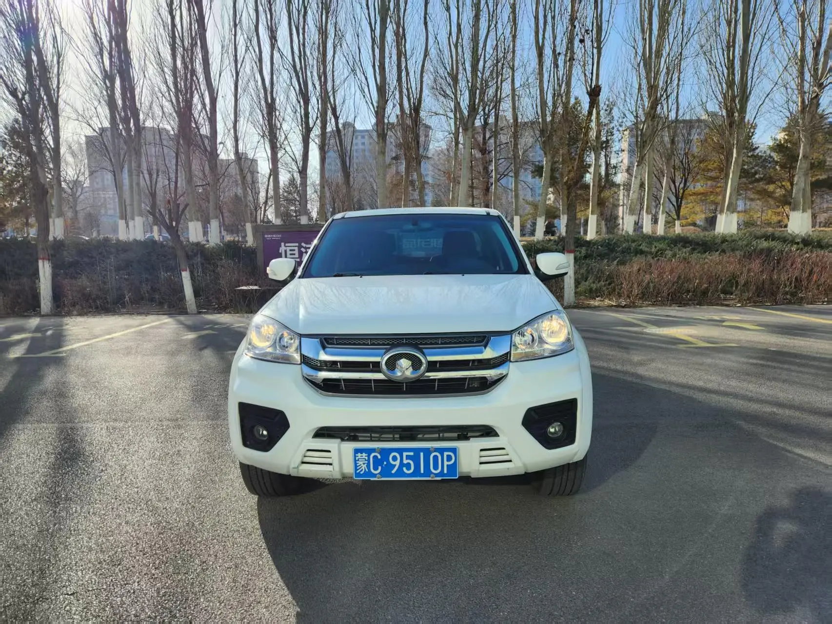 Great Wall Wing Jun 5  из Китая