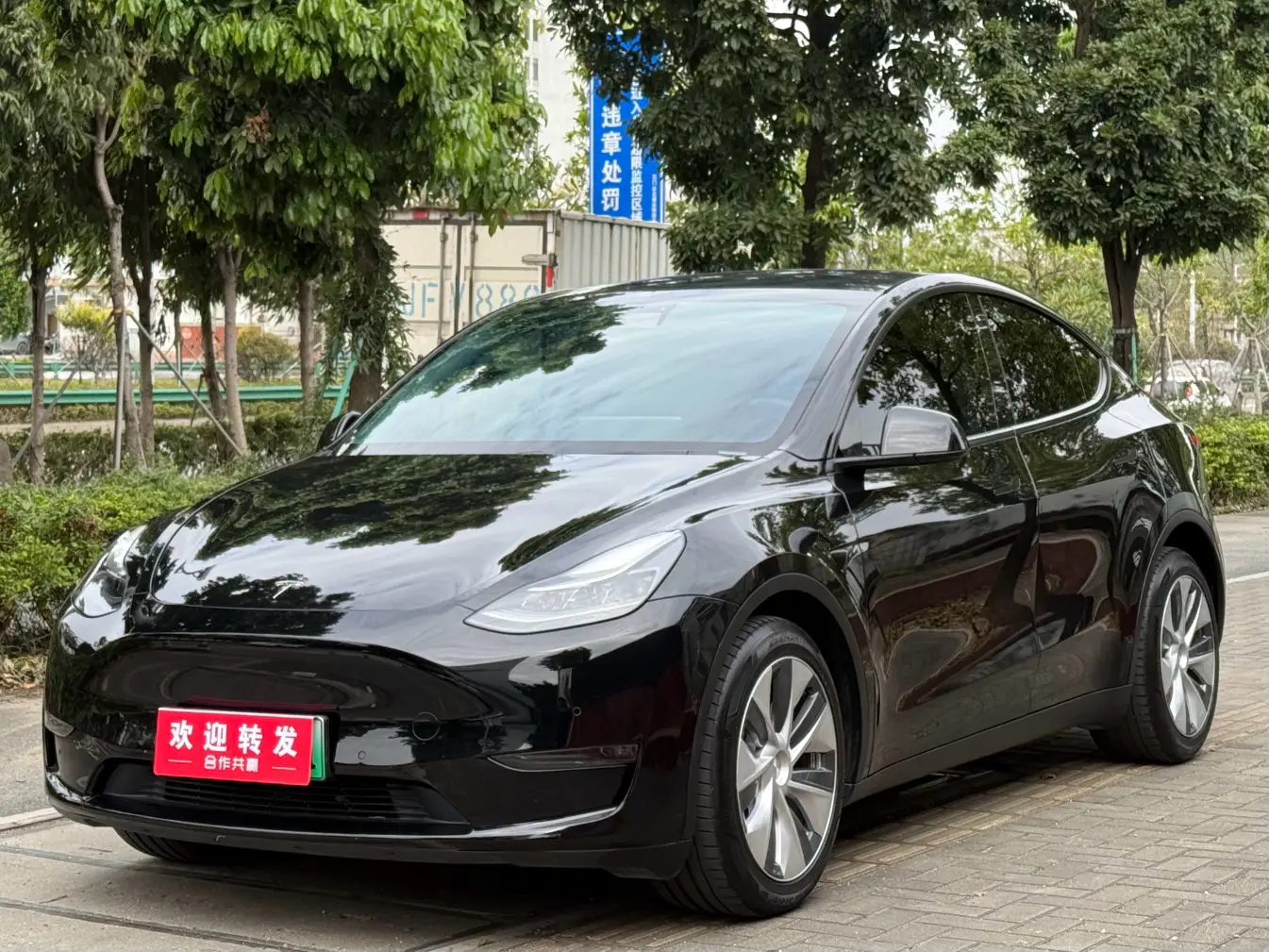 Tesla Model Y  из Китая