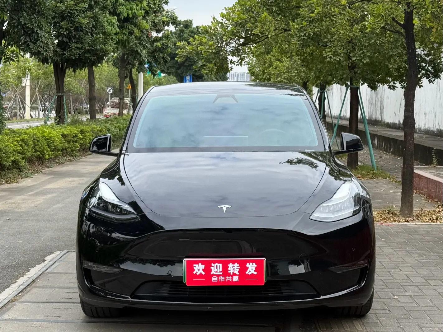 Tesla Model Y  из Китая