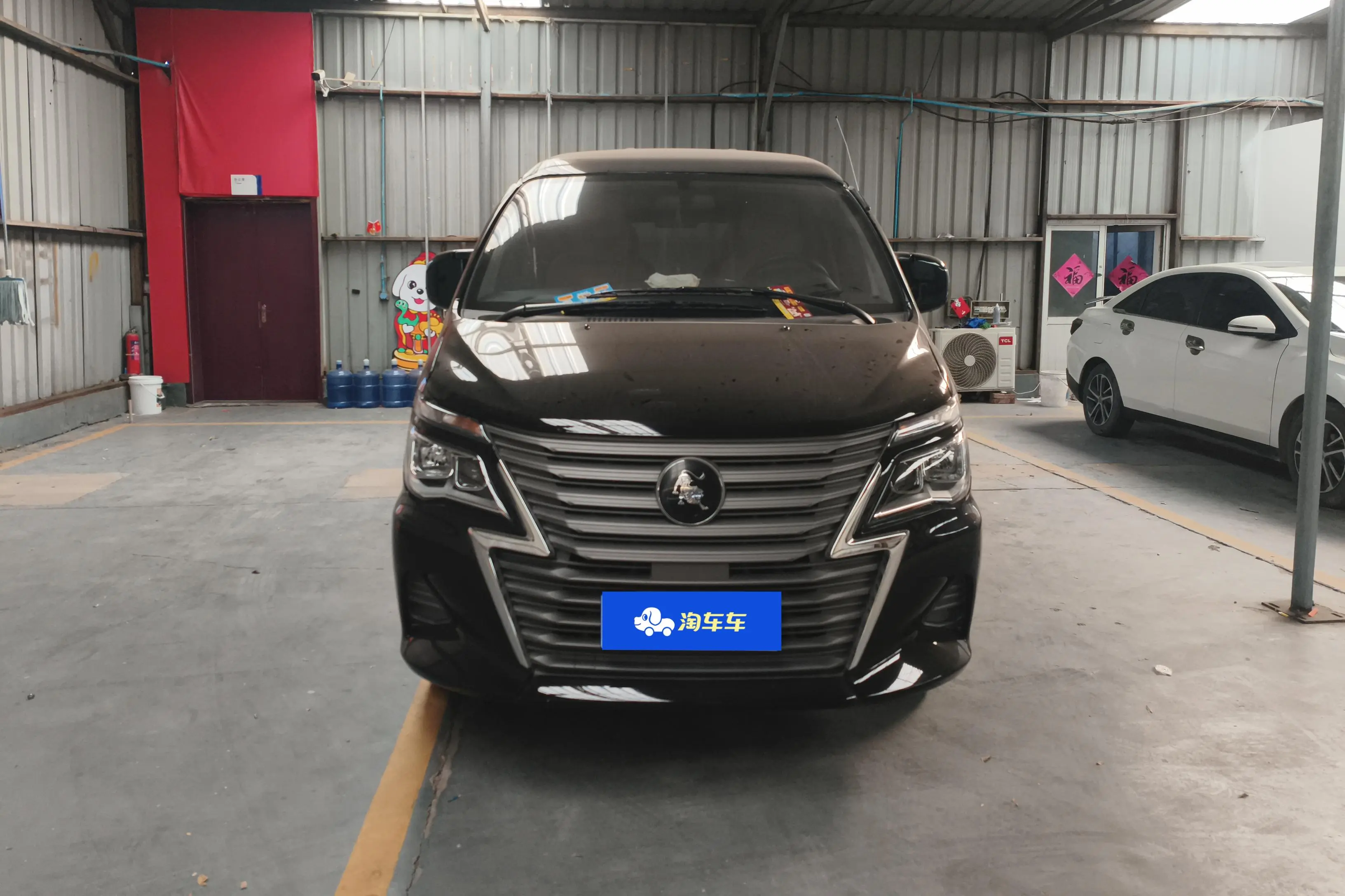 Forthing Lingzhi  из Китая