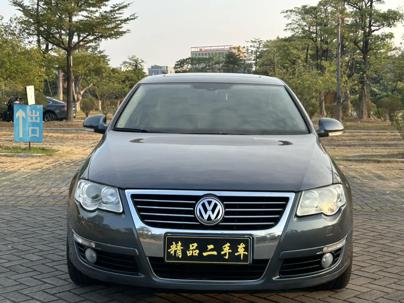 Volkswagen Magotan  из Китая