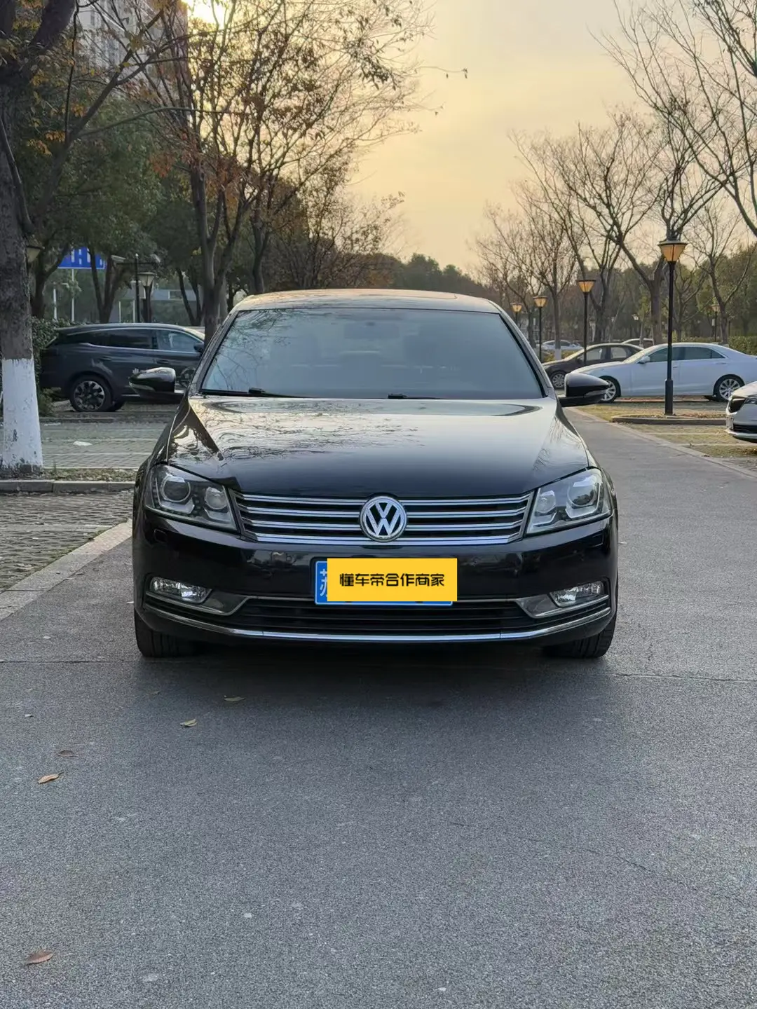 Volkswagen Magotan  из Китая