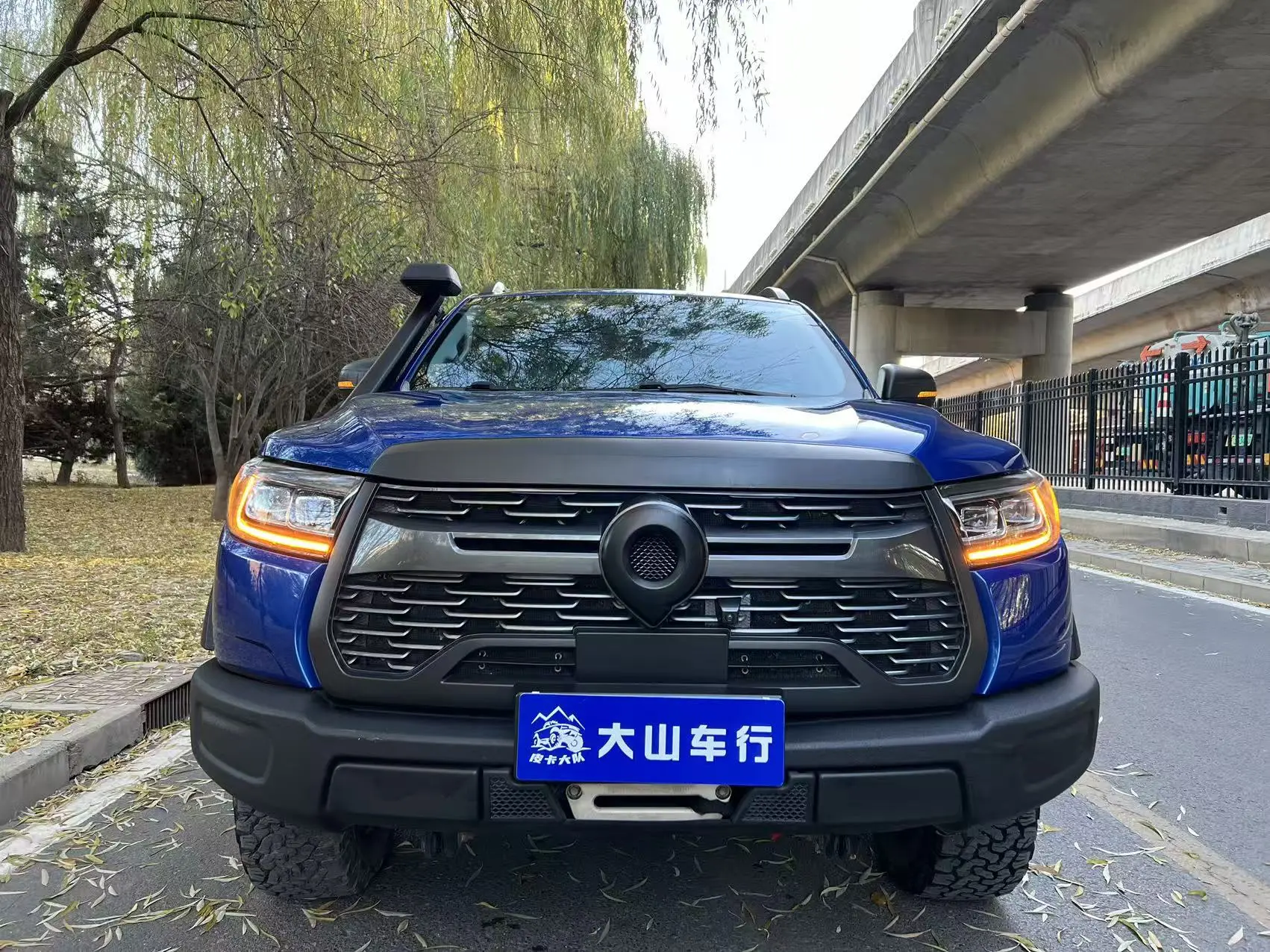 Great Wall Gun  из Китая