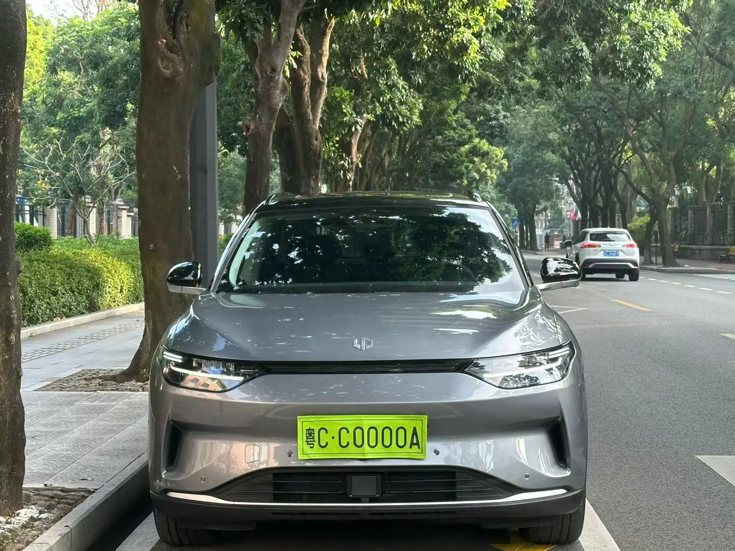 Leapmotor Zero running C11  из Китая