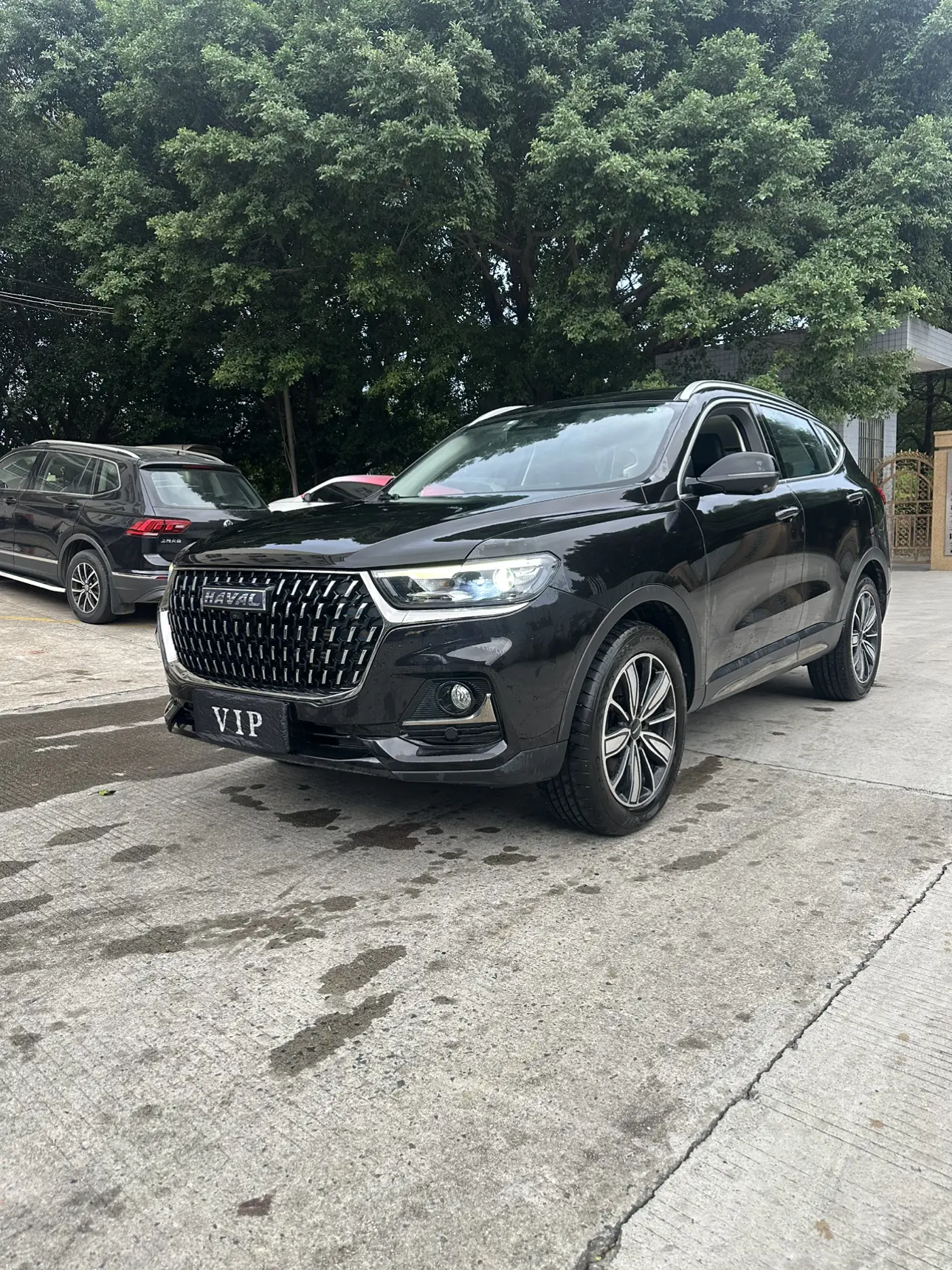 Haval H6  из Китая