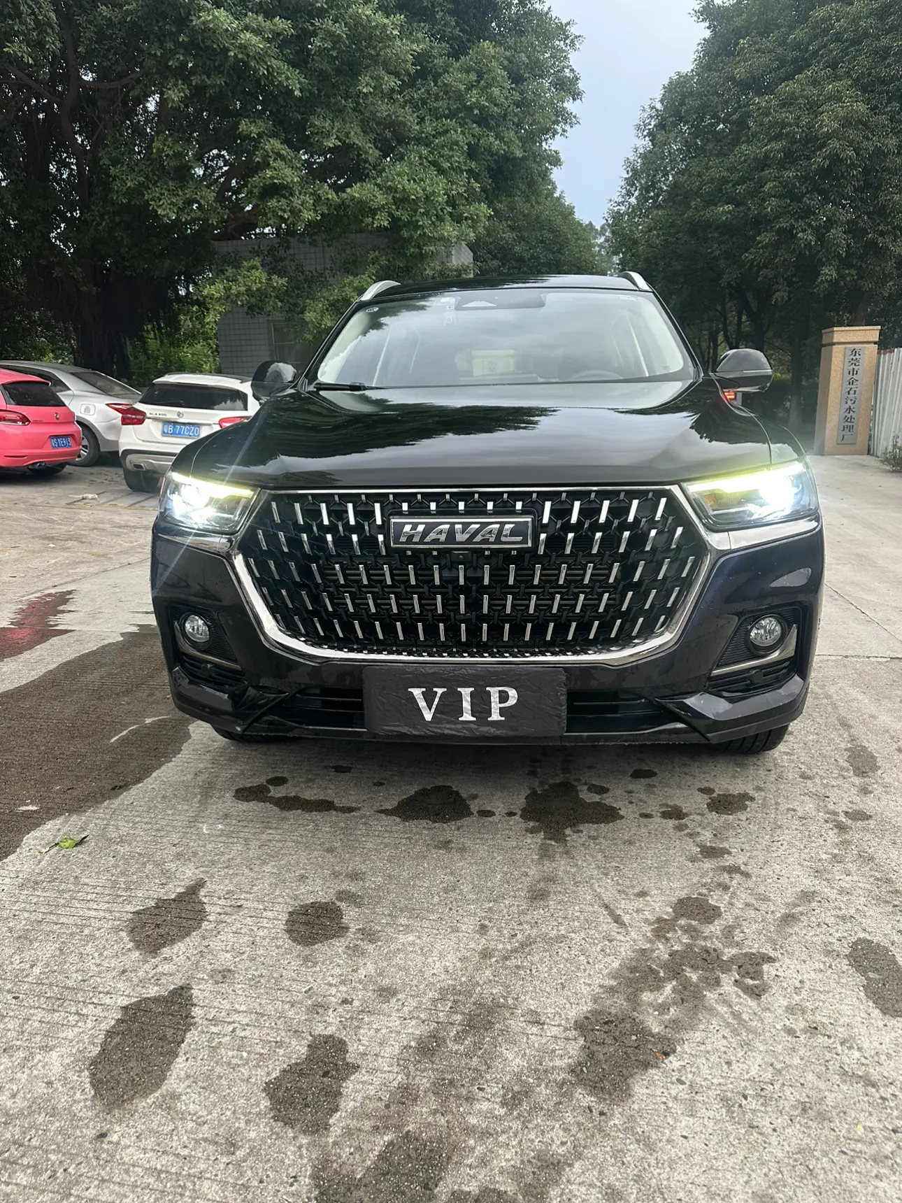 Haval H6  из Китая