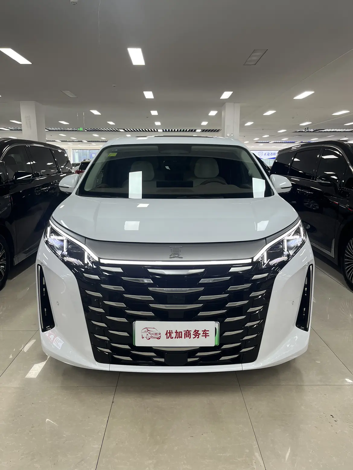 BYD Summer  из Китая