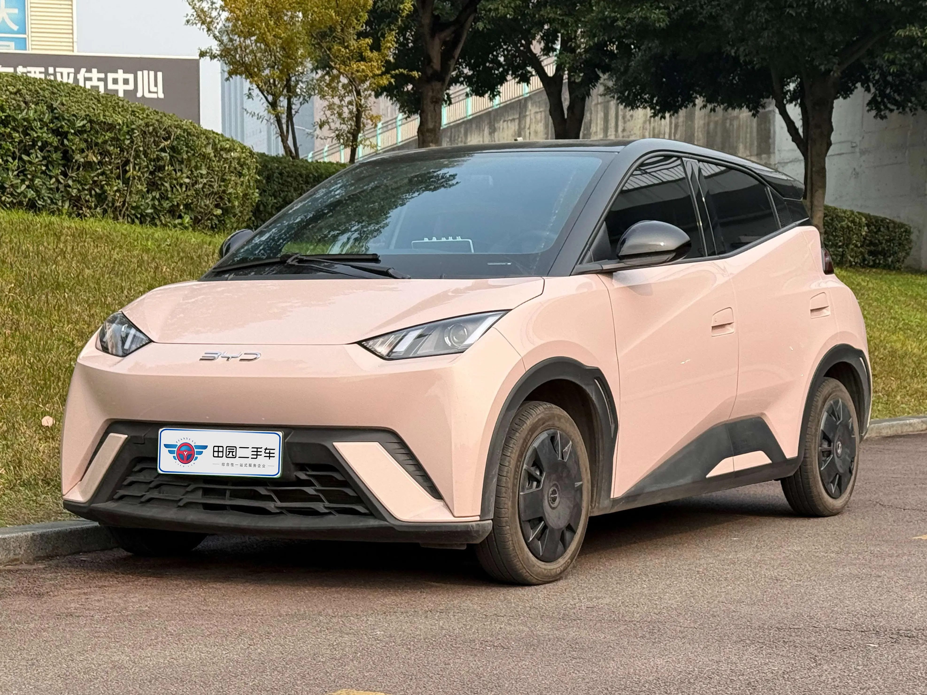 BYD Seagull  из Китая