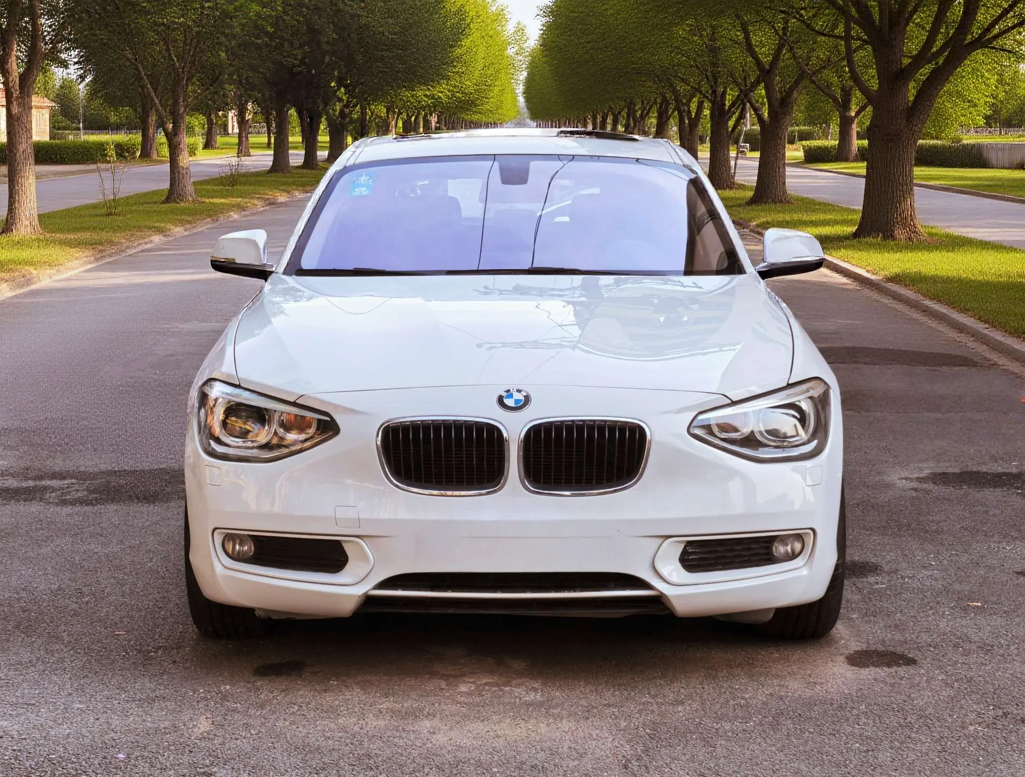 BMW 1 Series (imported)  из Китая