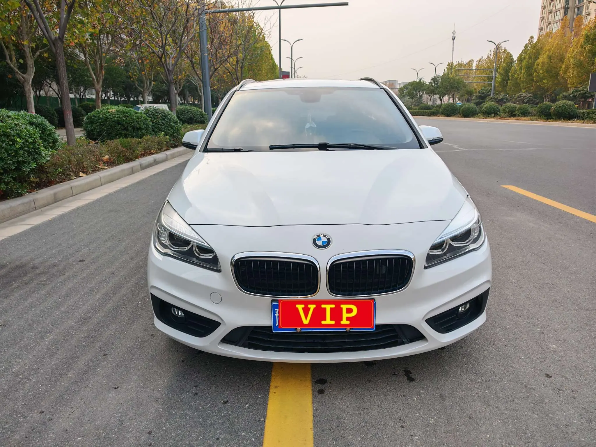 BMW 2 series station wagon  из Китая