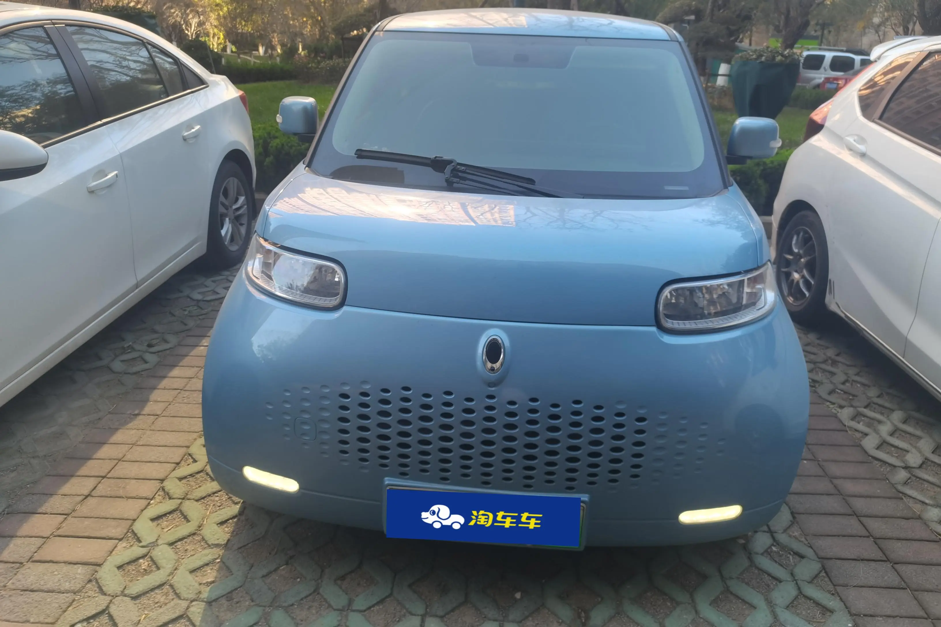 ORA Euler white cat  из Китая