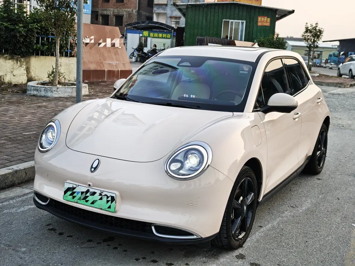 ORA Euler good cat  из Китая