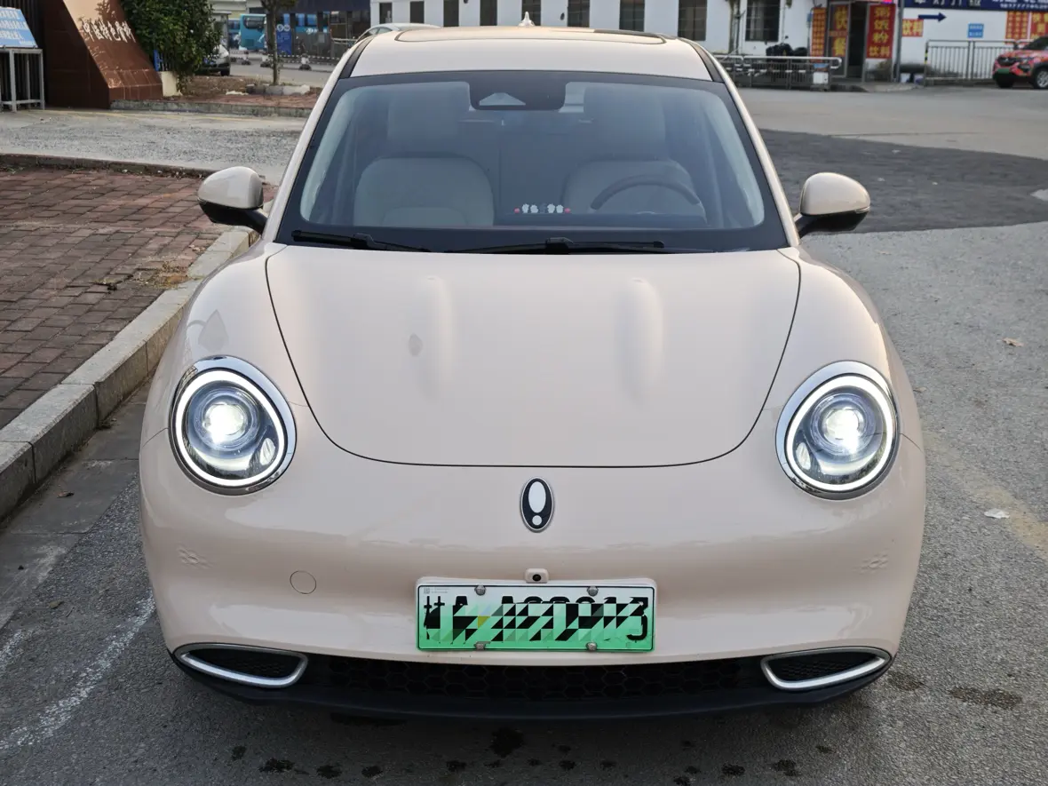 ORA Euler good cat  из Китая