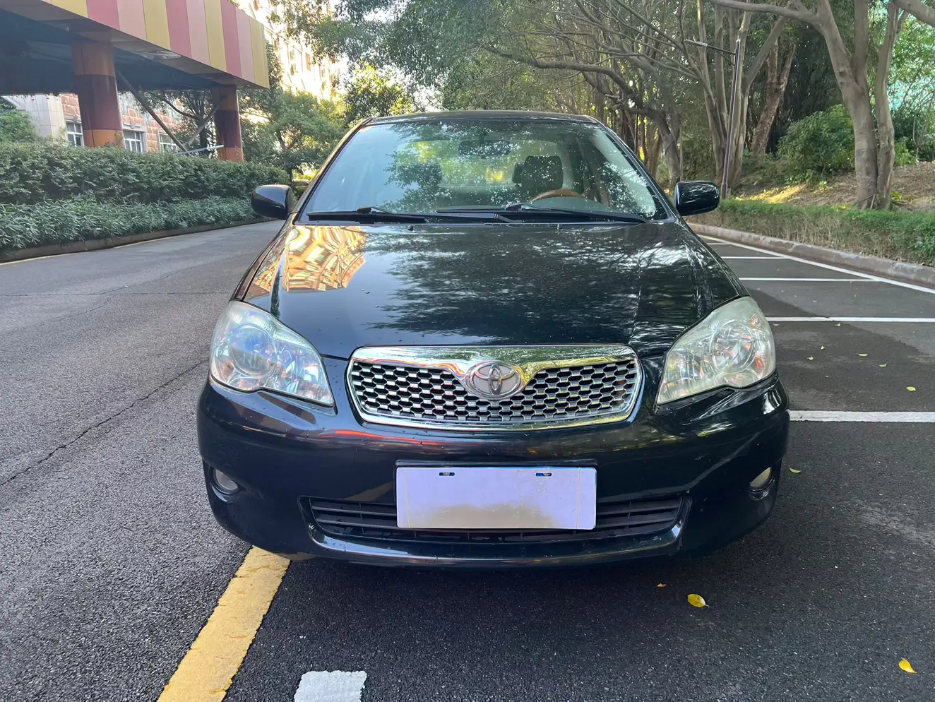 Toyota Corolla  из Китая