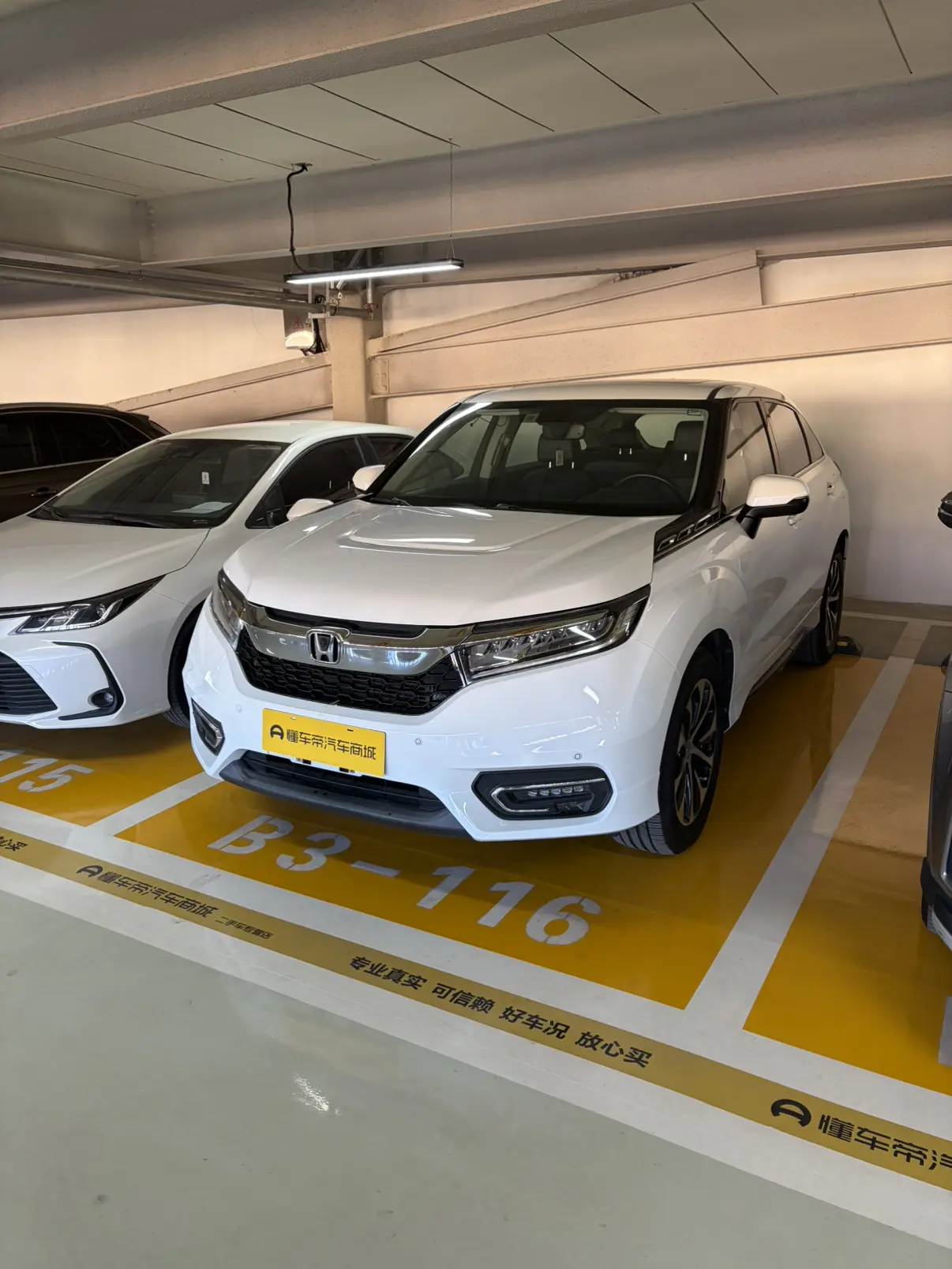 Honda Avancier (Crown Road)  из Китая