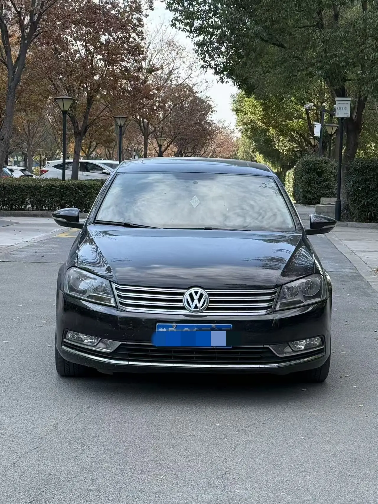 Volkswagen Magotan  из Китая