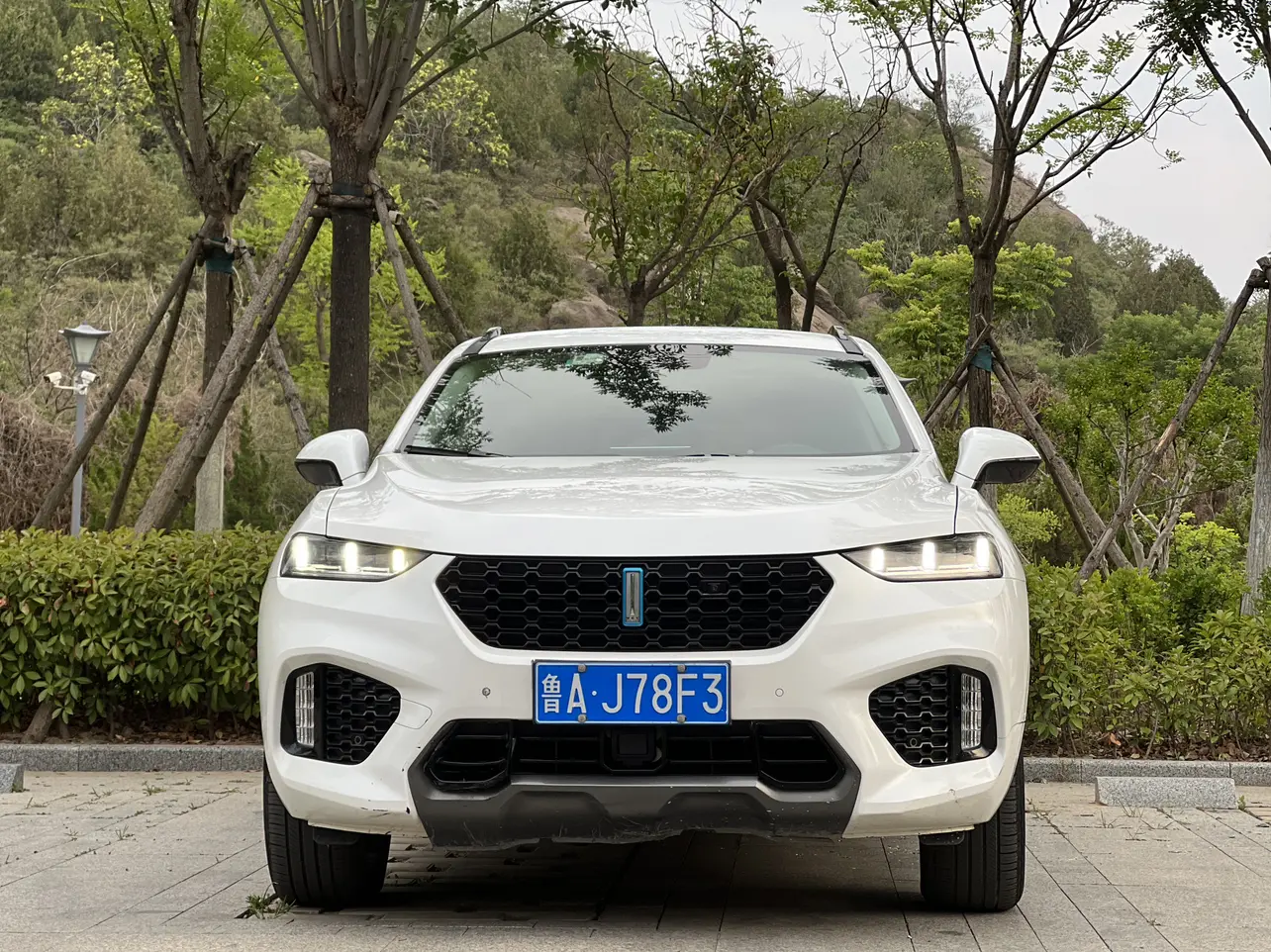 Wey Wei brand VV7  из Китая