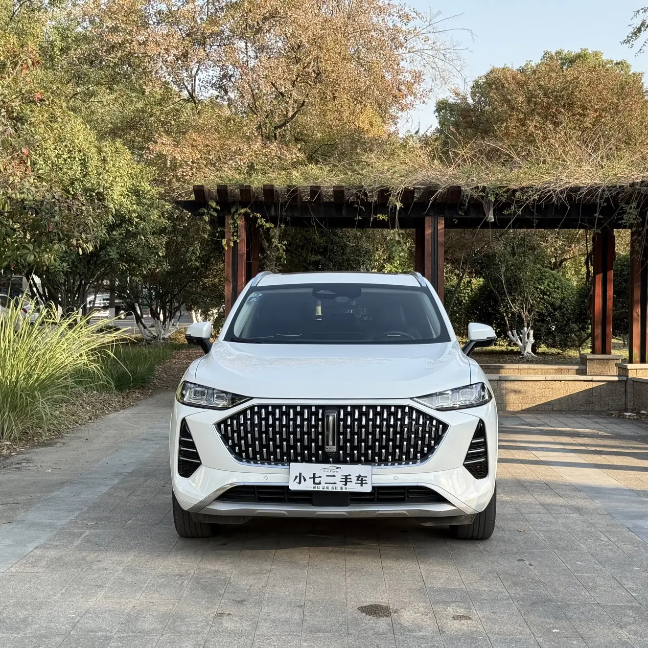 Wey Mocha  из Китая