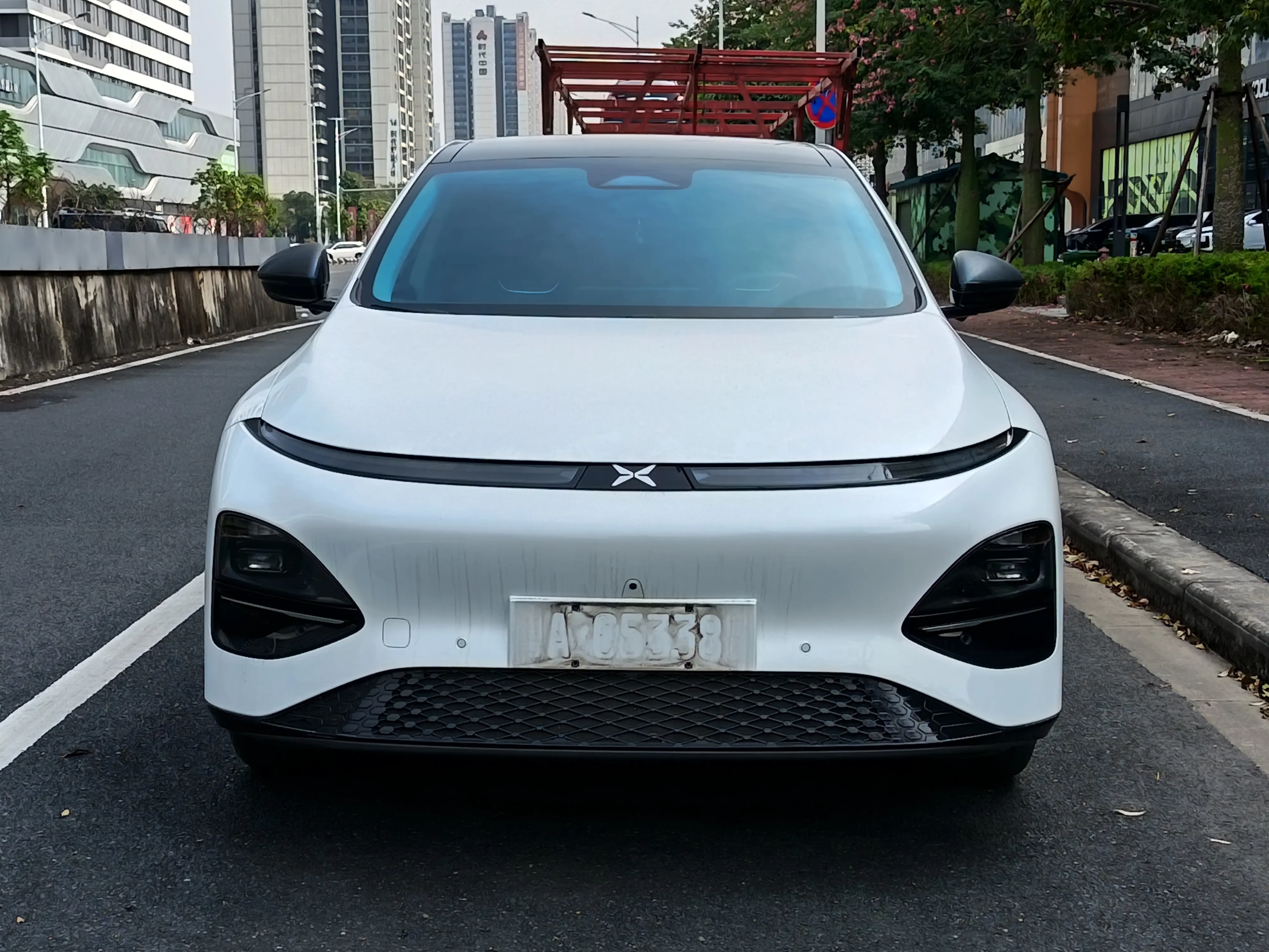 Xpeng G6  из Китая