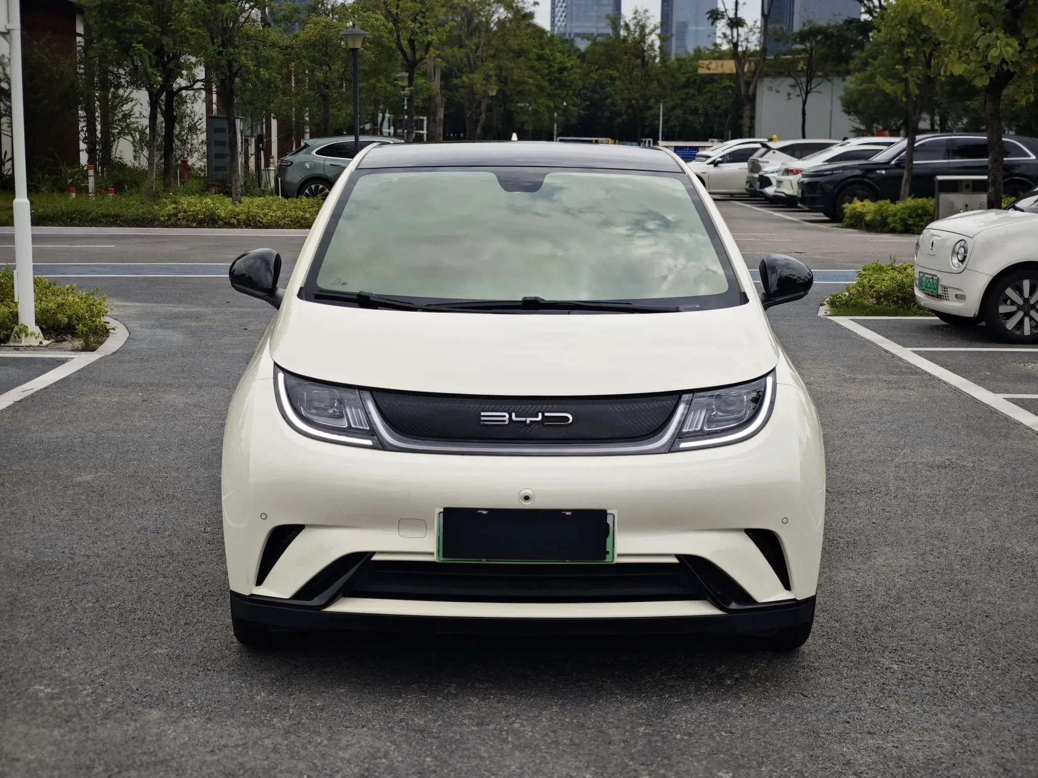 BYD Dolphin  из Китая