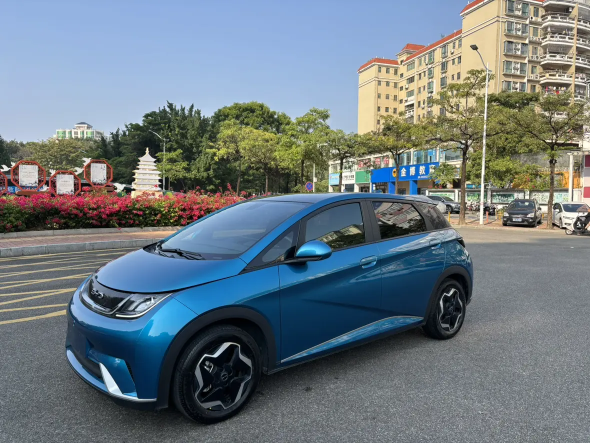 BYD Dolphin  из Китая