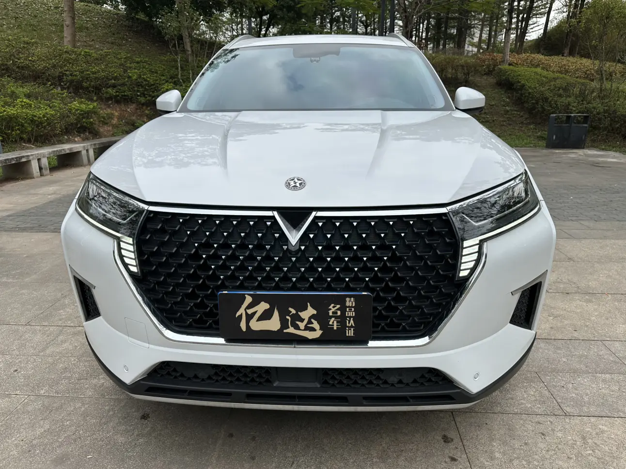 Kai Chen Venus Star  из Китая