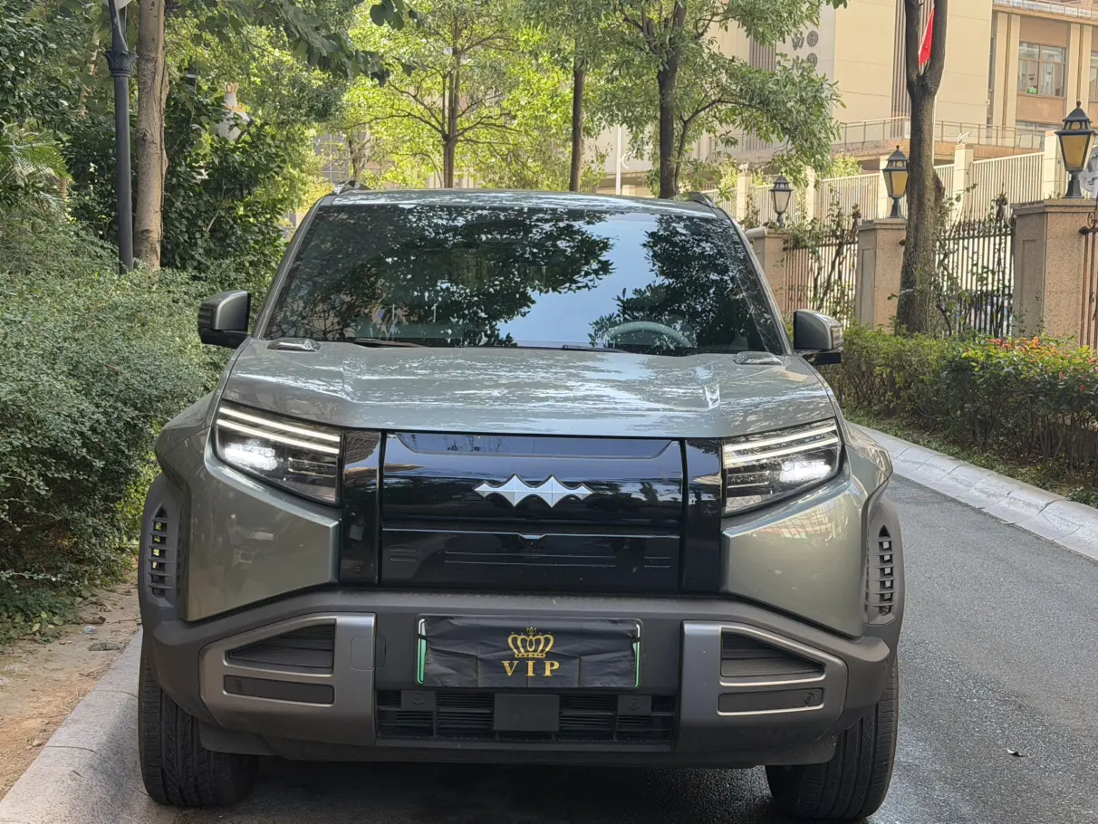 BYD Leopard Titanium 3  из Китая