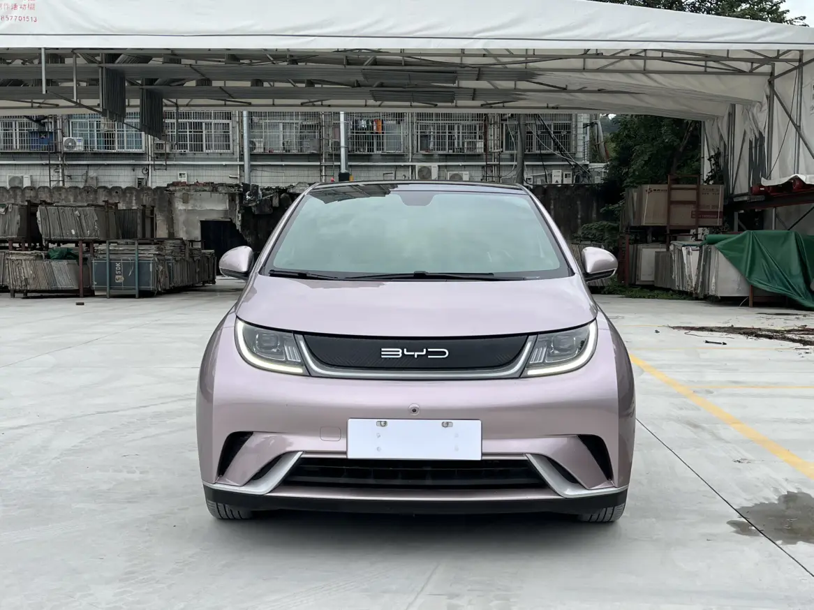 BYD Dolphin  из Китая