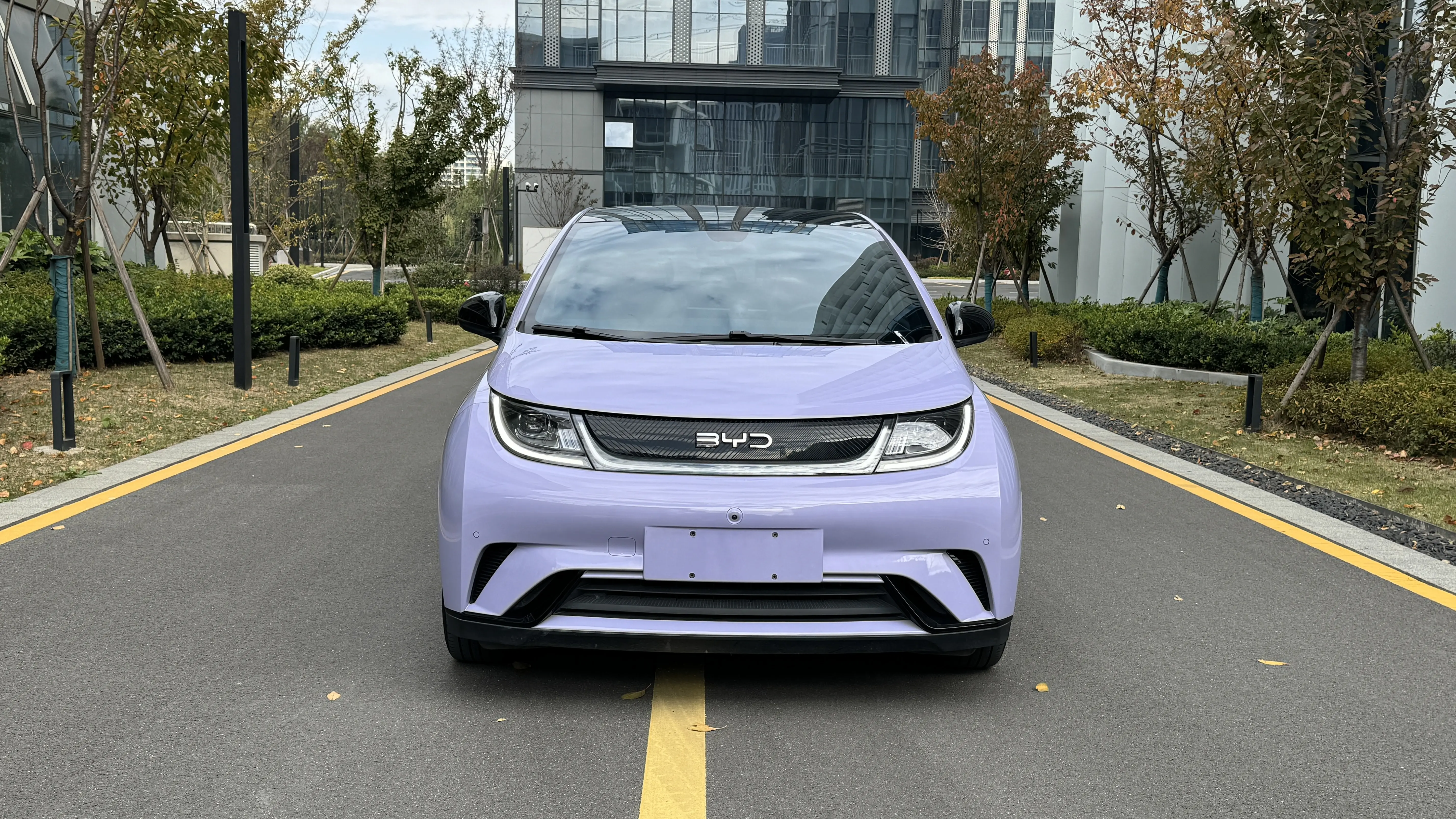 BYD Dolphin  из Китая