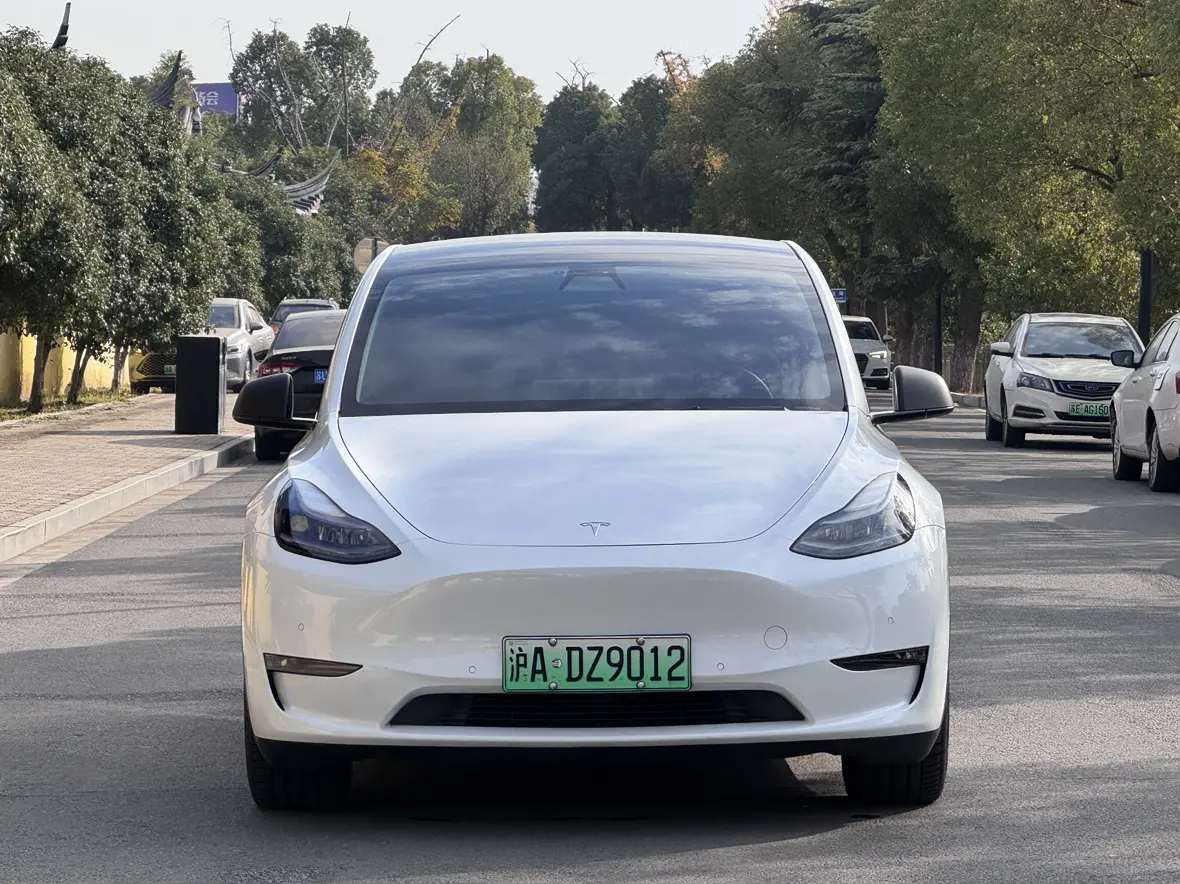 Tesla Model Y  из Китая