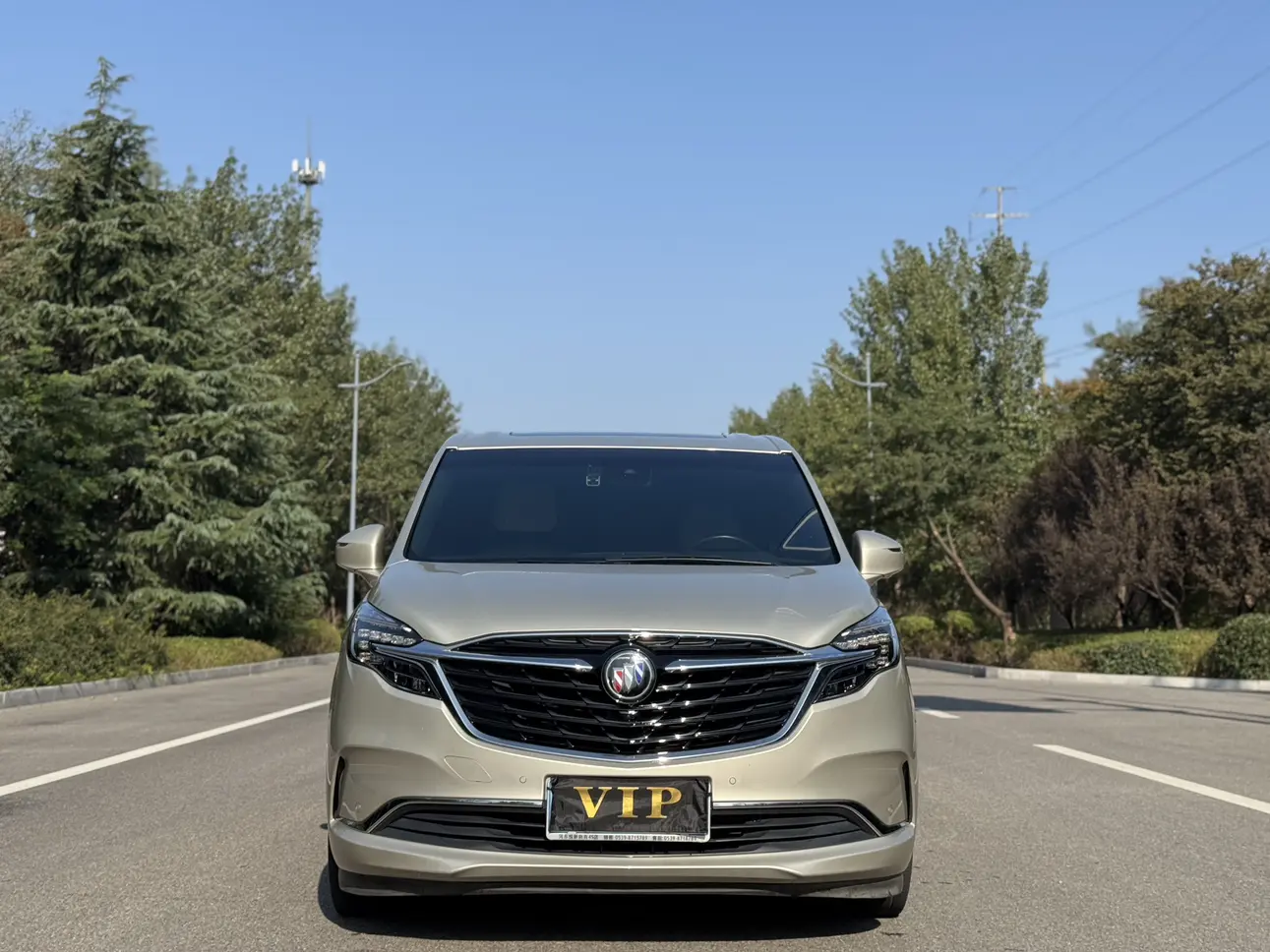 Buick GL8  из Китая