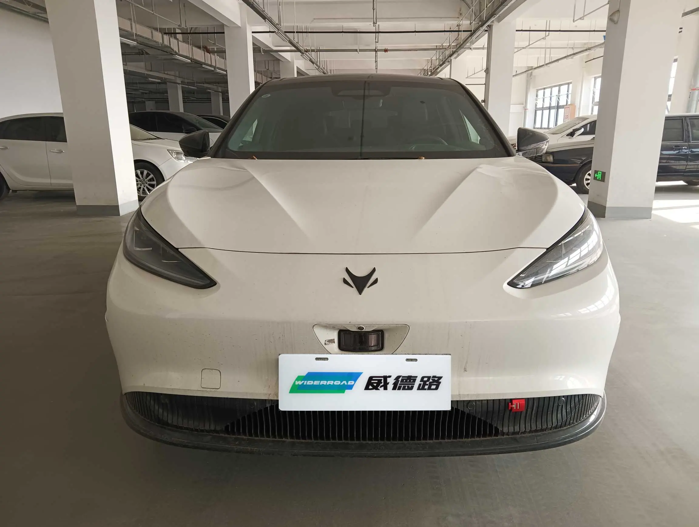 ARCFOX Extreme Fox Polar Fox Alpha S  из Китая