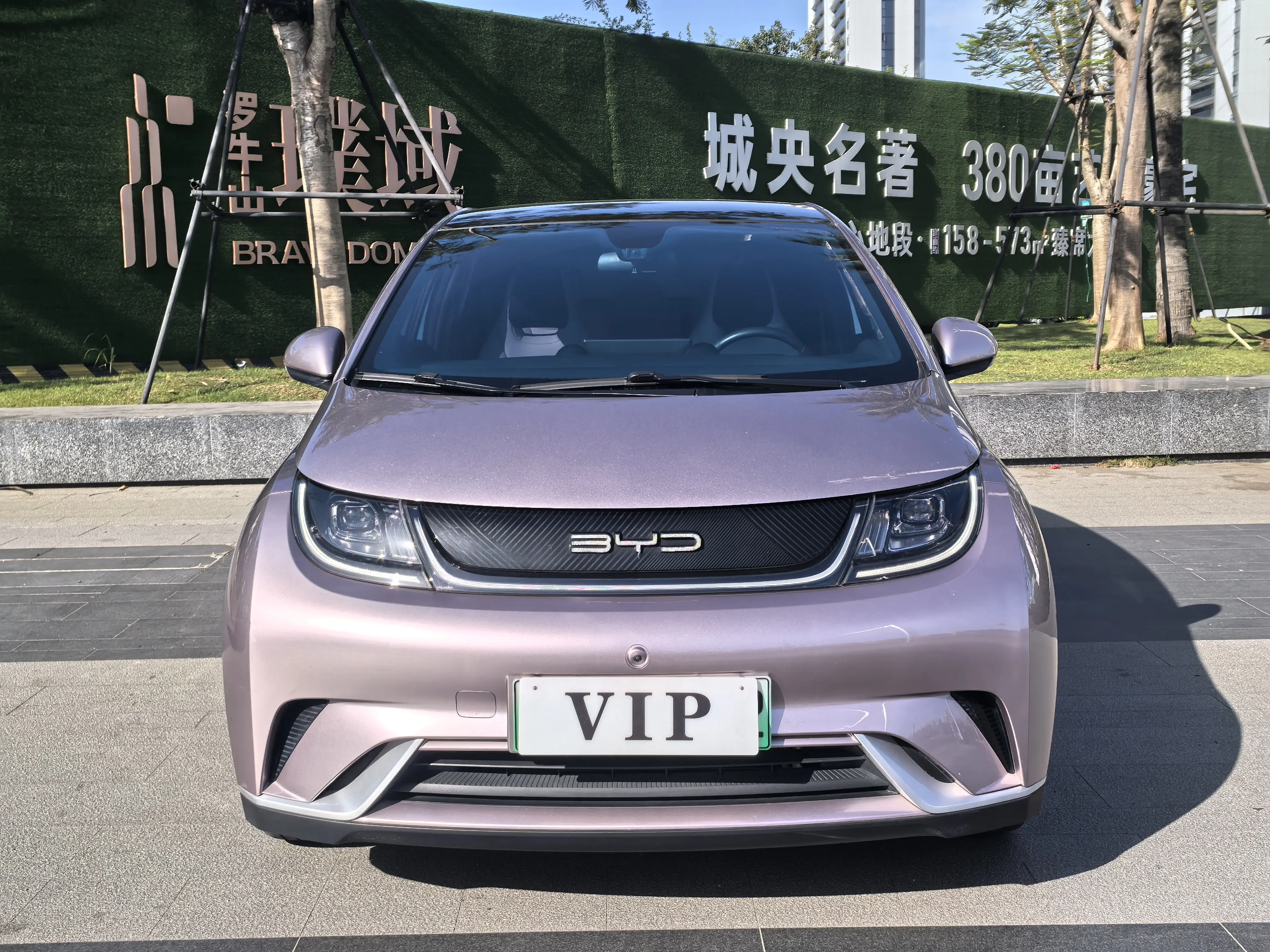 BYD Dolphin  из Китая