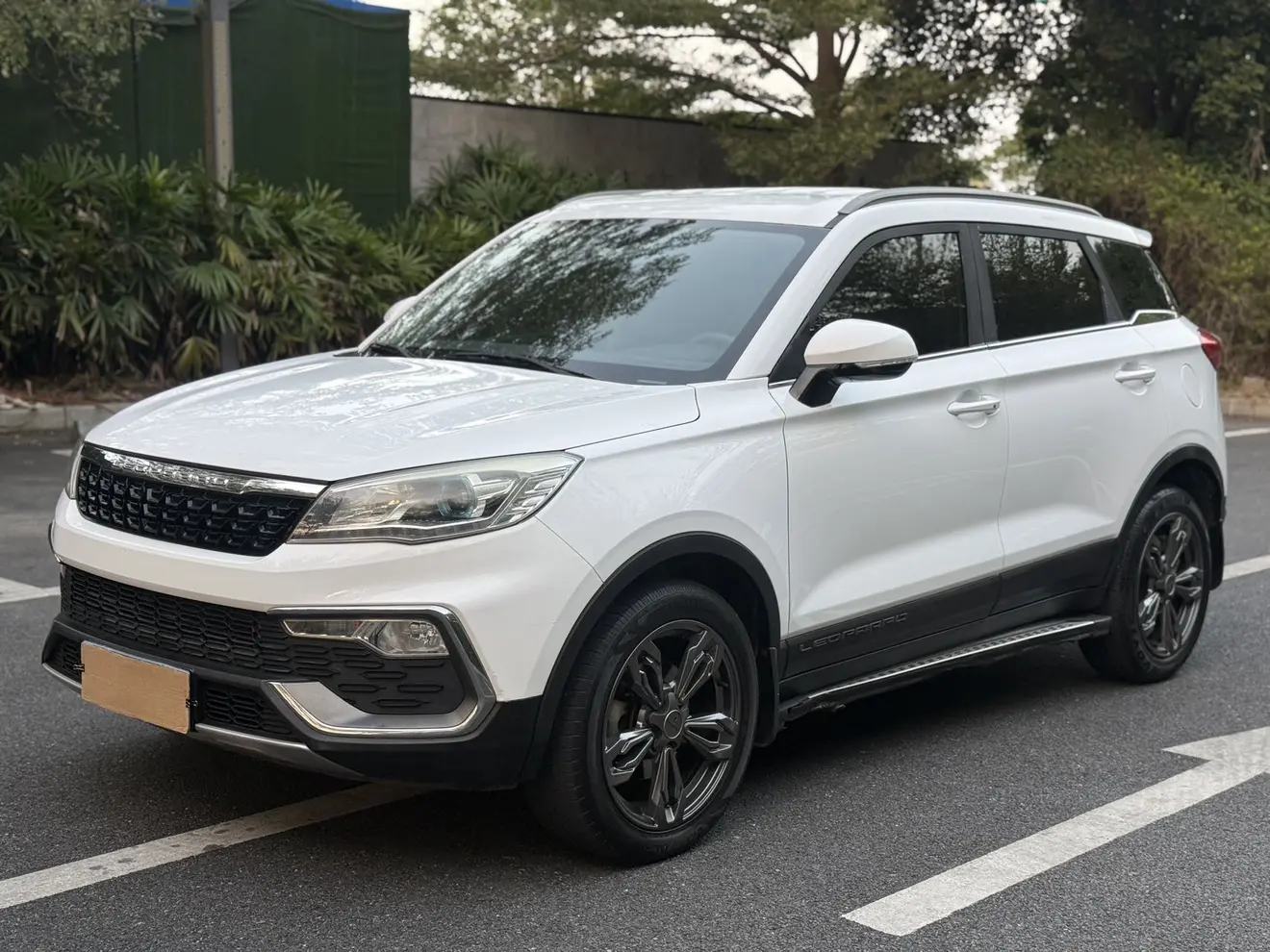 Cheetah cars Cheetah CS9  из Китая