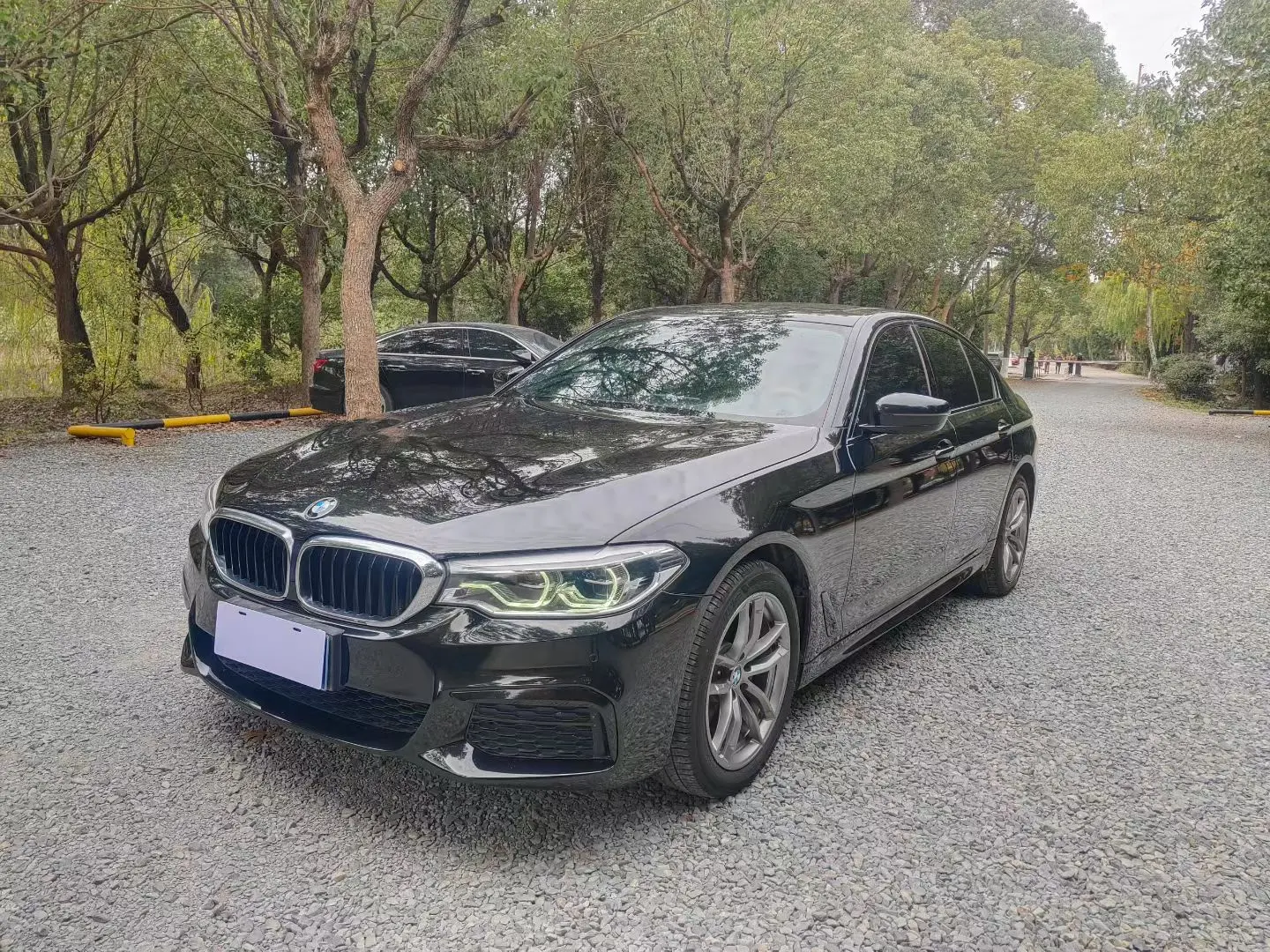 BMW 5 Series (imported)  из Китая