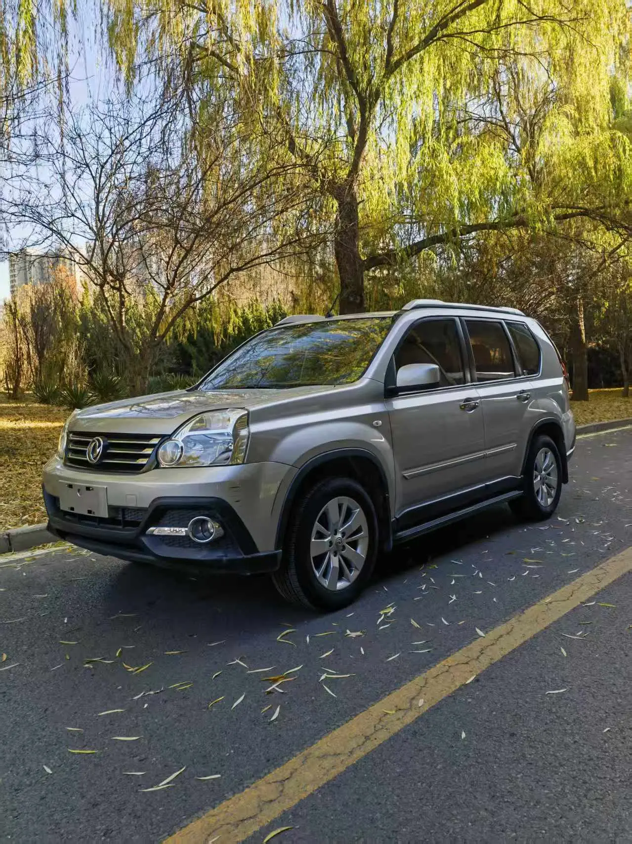 Dongfeng Fengdu MX6  из Китая
