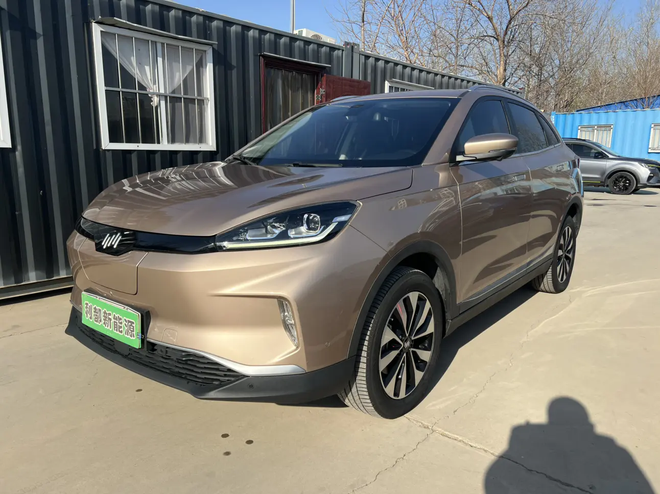 Weltmeister WM EX5  из Китая