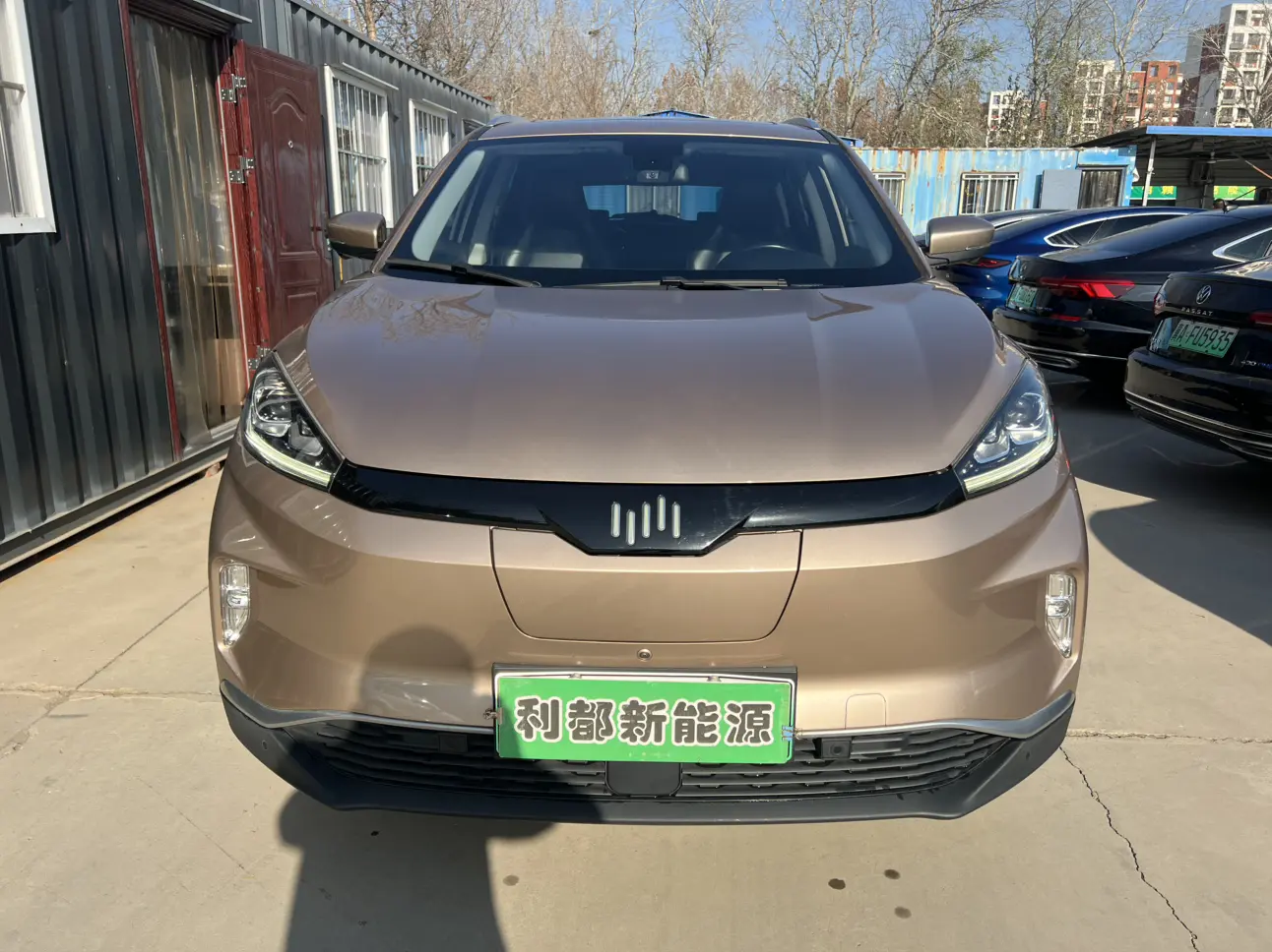 Weltmeister WM EX5  из Китая