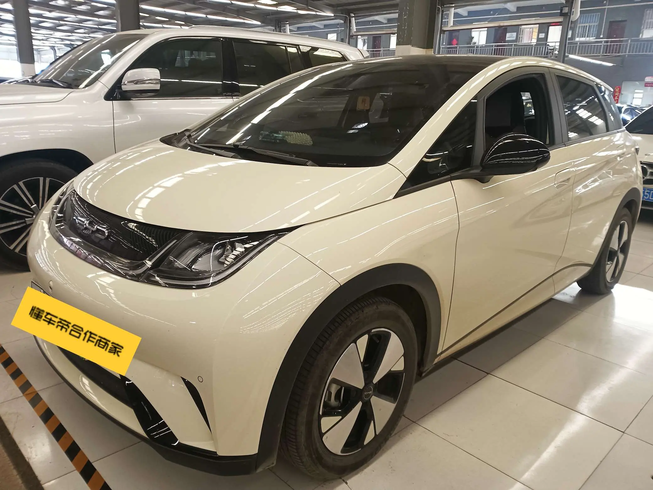 BYD Dolphin  из Китая