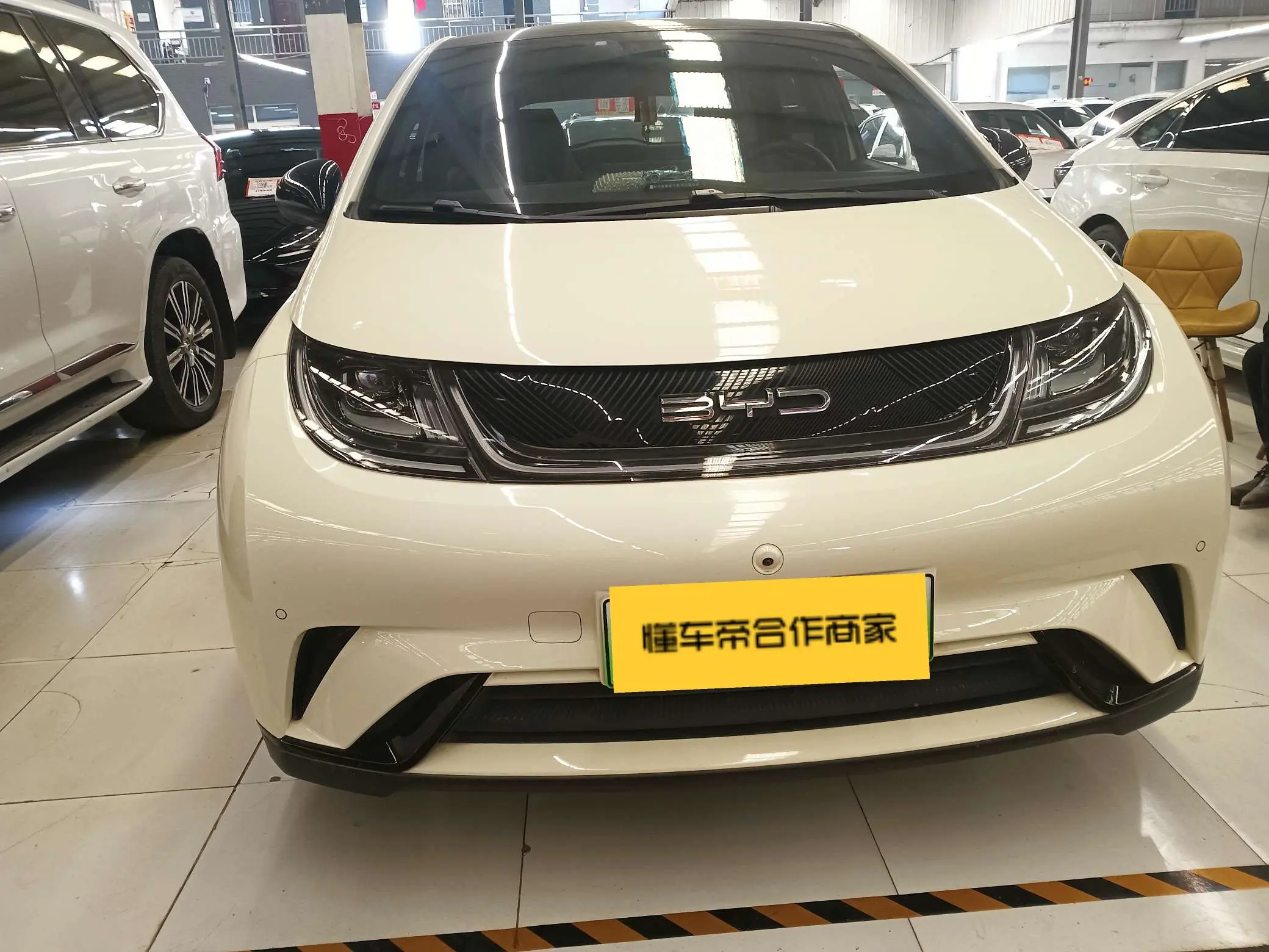 BYD Dolphin  из Китая
