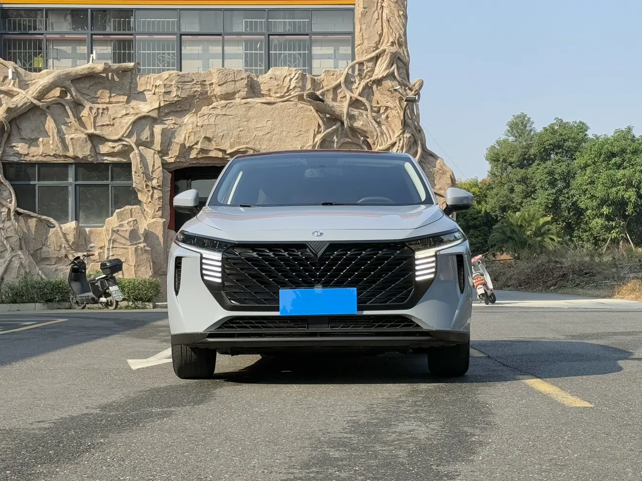 Kai Chen Venucia Big V  из Китая