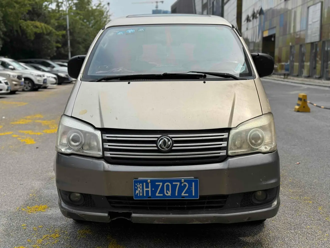 Forthing Lingzhi  из Китая